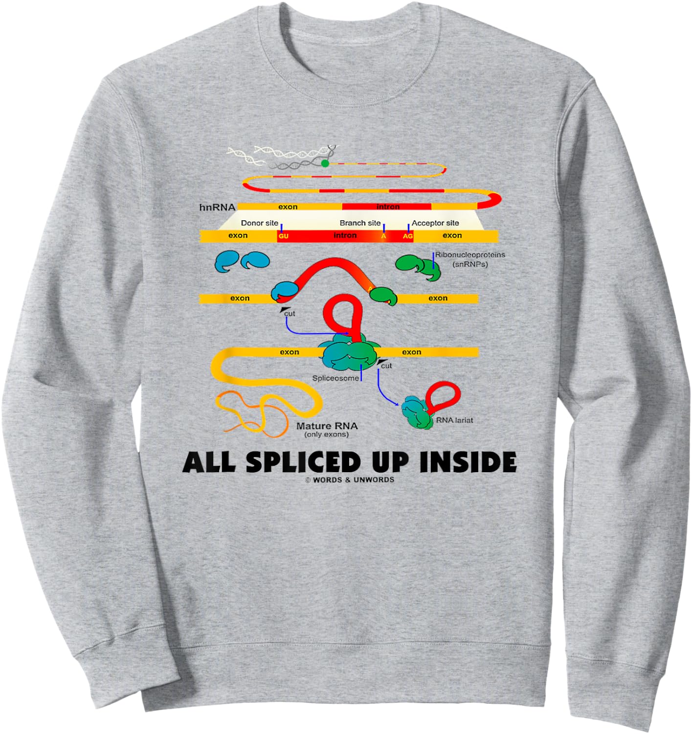 All Spliced Up Inside Mature RNA Gene Splicing Geek Humor Sweatshirt - Sweatshirt | Ash