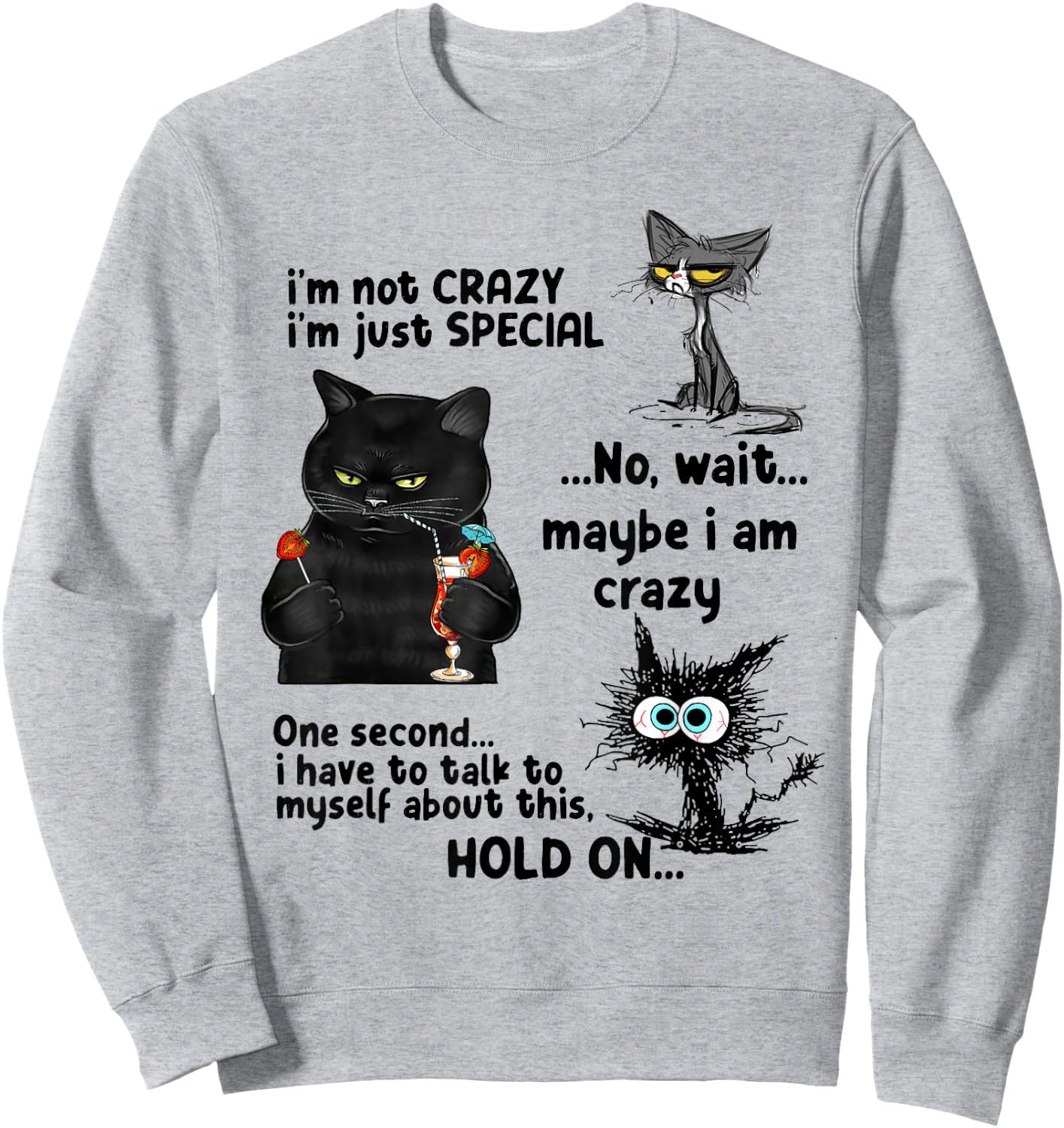 I'm Not Crazy I'm Just Special Wait Maybe I'm Crazy Sweatshirt - Sweatshirt | Ash