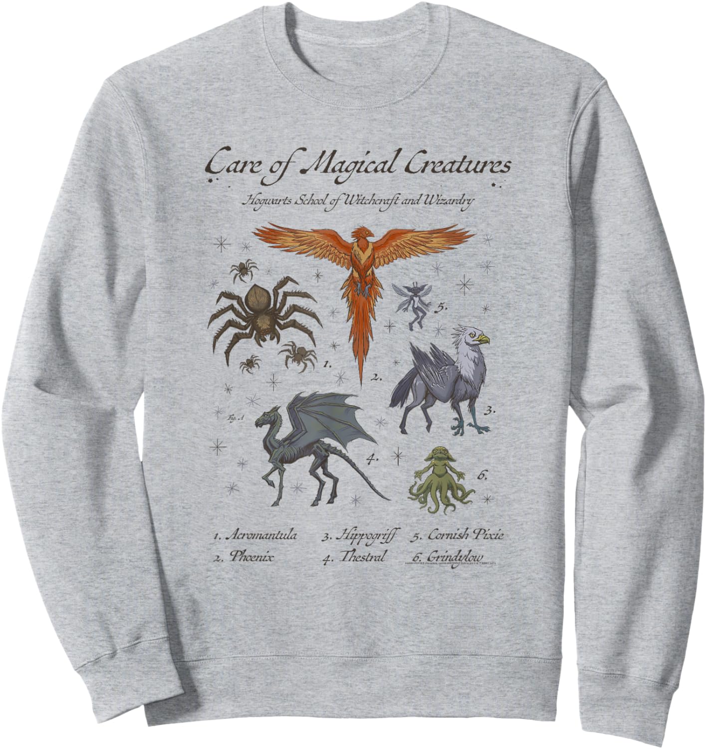 Harry Potter Care of Magical Creatures Hogwarts School Sweatshirt - Sweatshirt | Ash