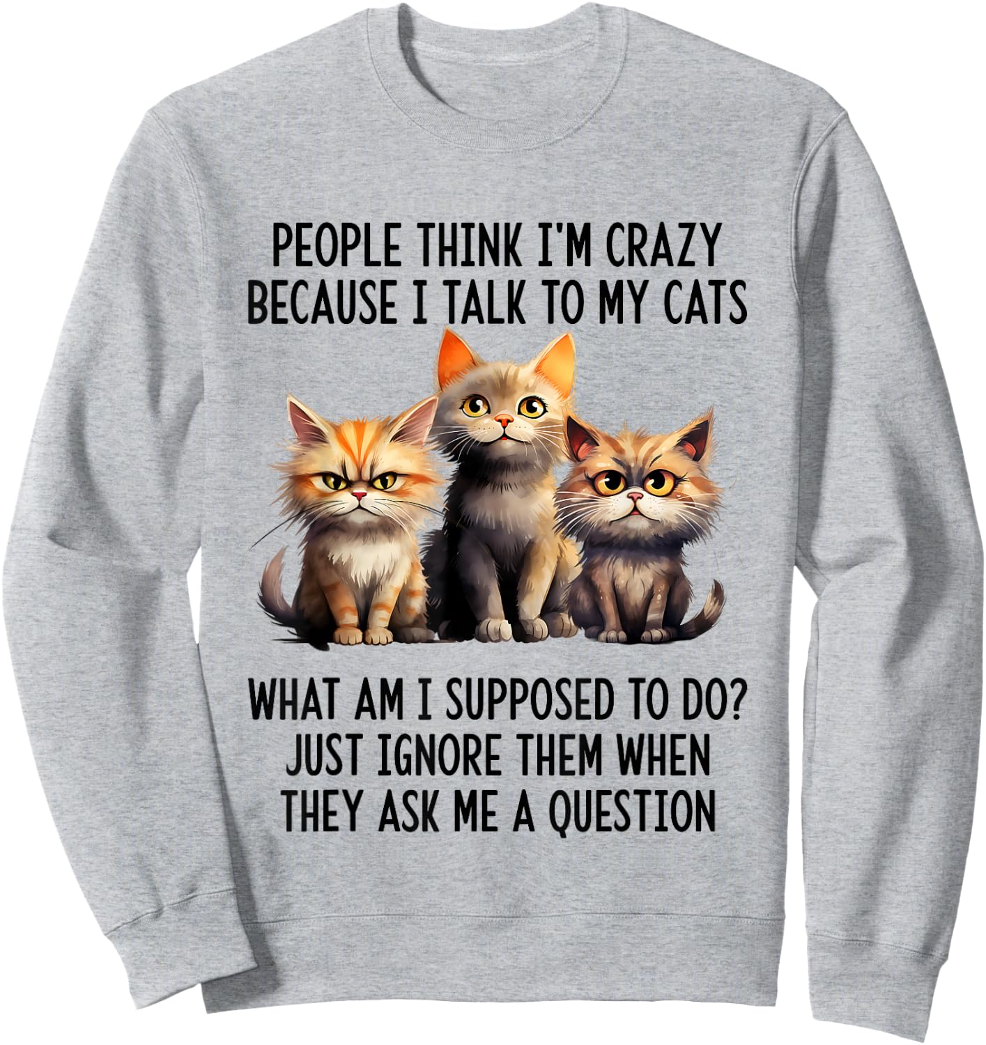 People Think I'm Crazy Because I Talk To My Cats Sweatshirt - Sweatshirt | Ash