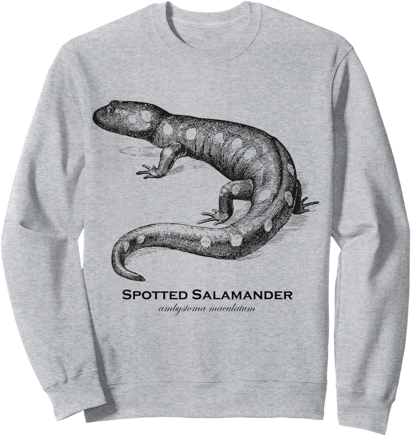 Vintage Animal Retro Wildlife Spotted Salamander Sweatshirt - Sweatshirt | Ash
