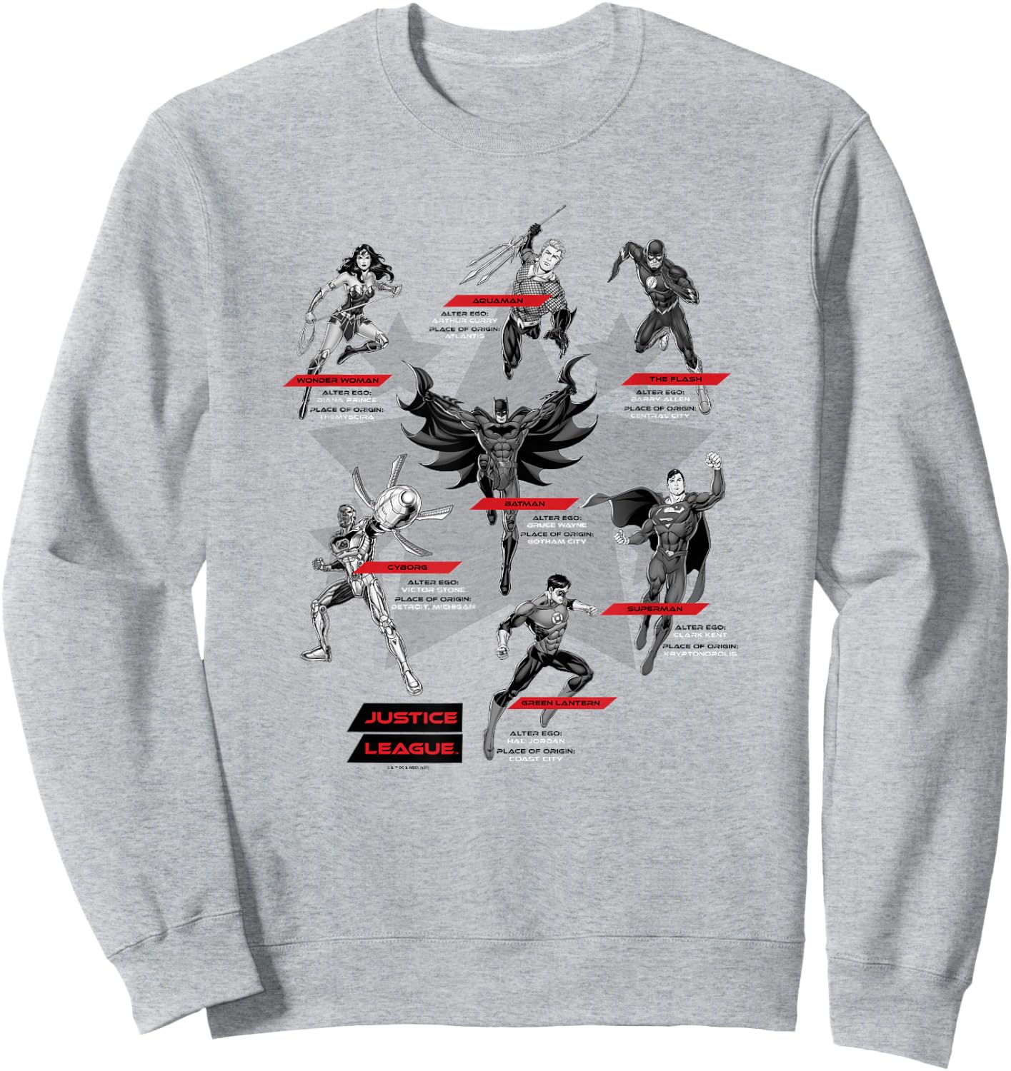 DC Comics Justice League Group Shot Members Logo Sweatshirt - Sweatshirt | Ash