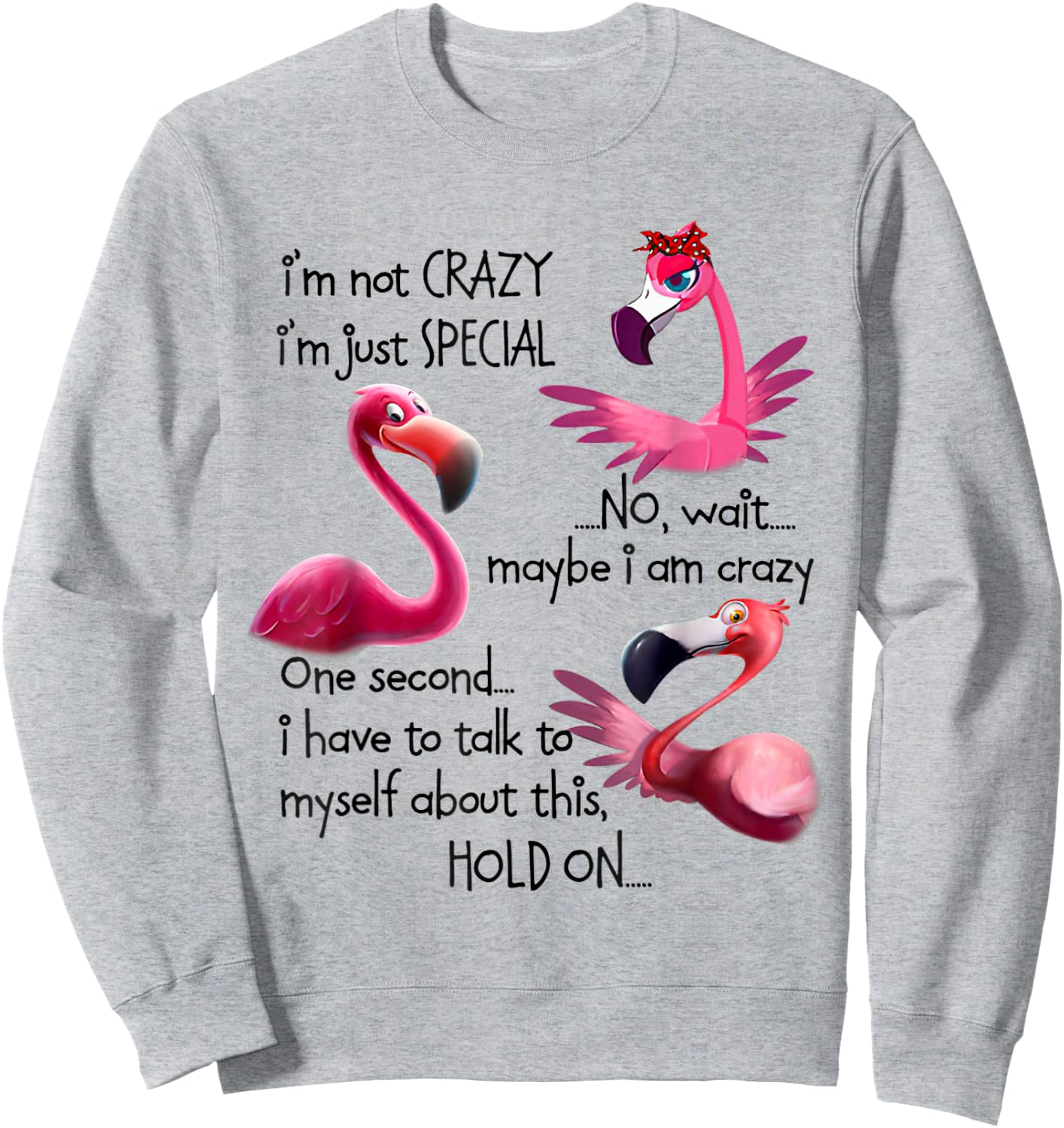 I'm Not Crazy I'm Just Special Funny Flamingo Saying Sweatshirt - Sweatshirt | Ash