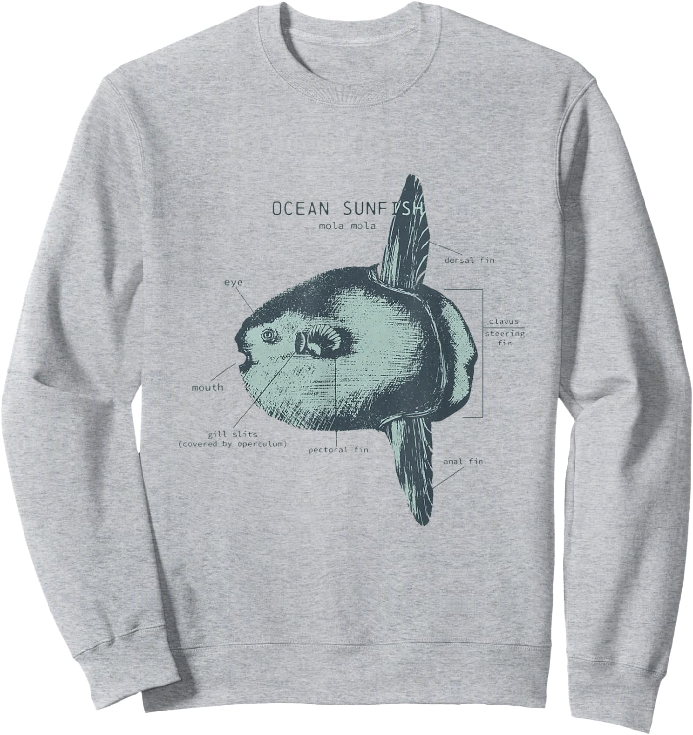 Ocean Sunfish Anatomy Marine Biologist Sweatshirt - Sweatshirt | Ash