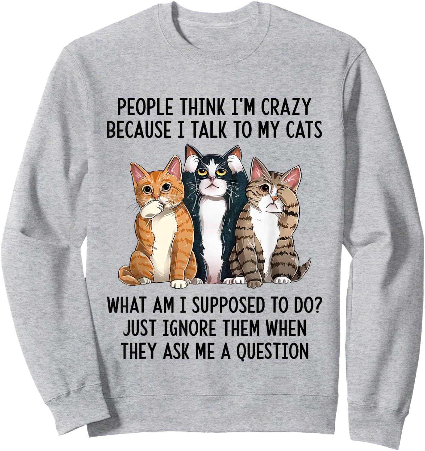 People Think I'm Crazy Because I Talk To My Cats Sweatshirt - Sweatshirt | Ash