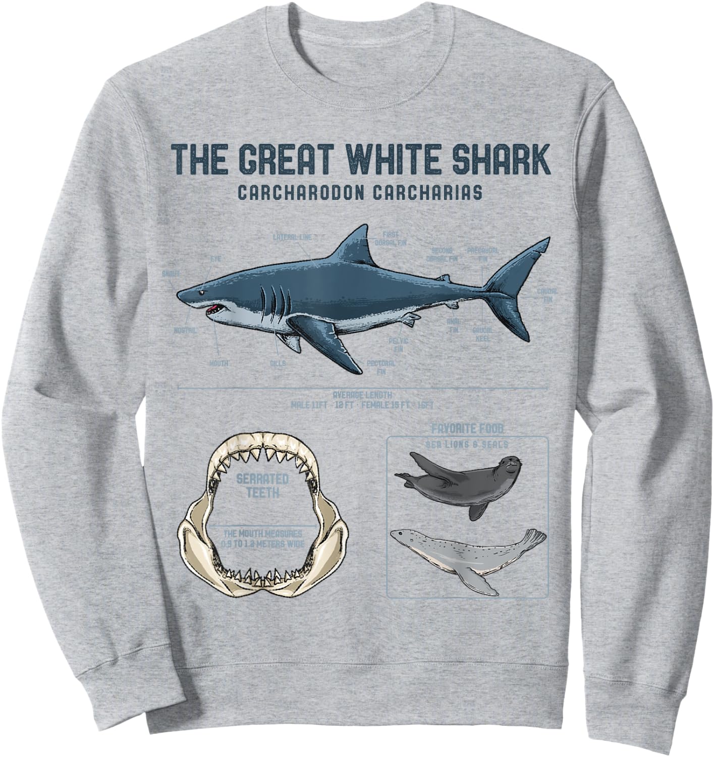 Great White Shark Anatomy Shirt - Shark Marine Biologist Sweatshirt - Sweatshirt | Ash