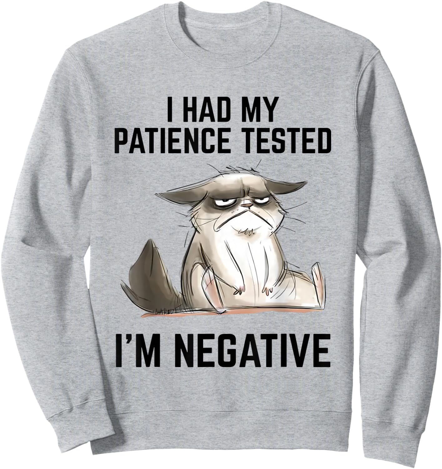 I Had My Patience Tested I'm Negative Cat Funny Vintage Sweatshirt - Sweatshirt | Ash