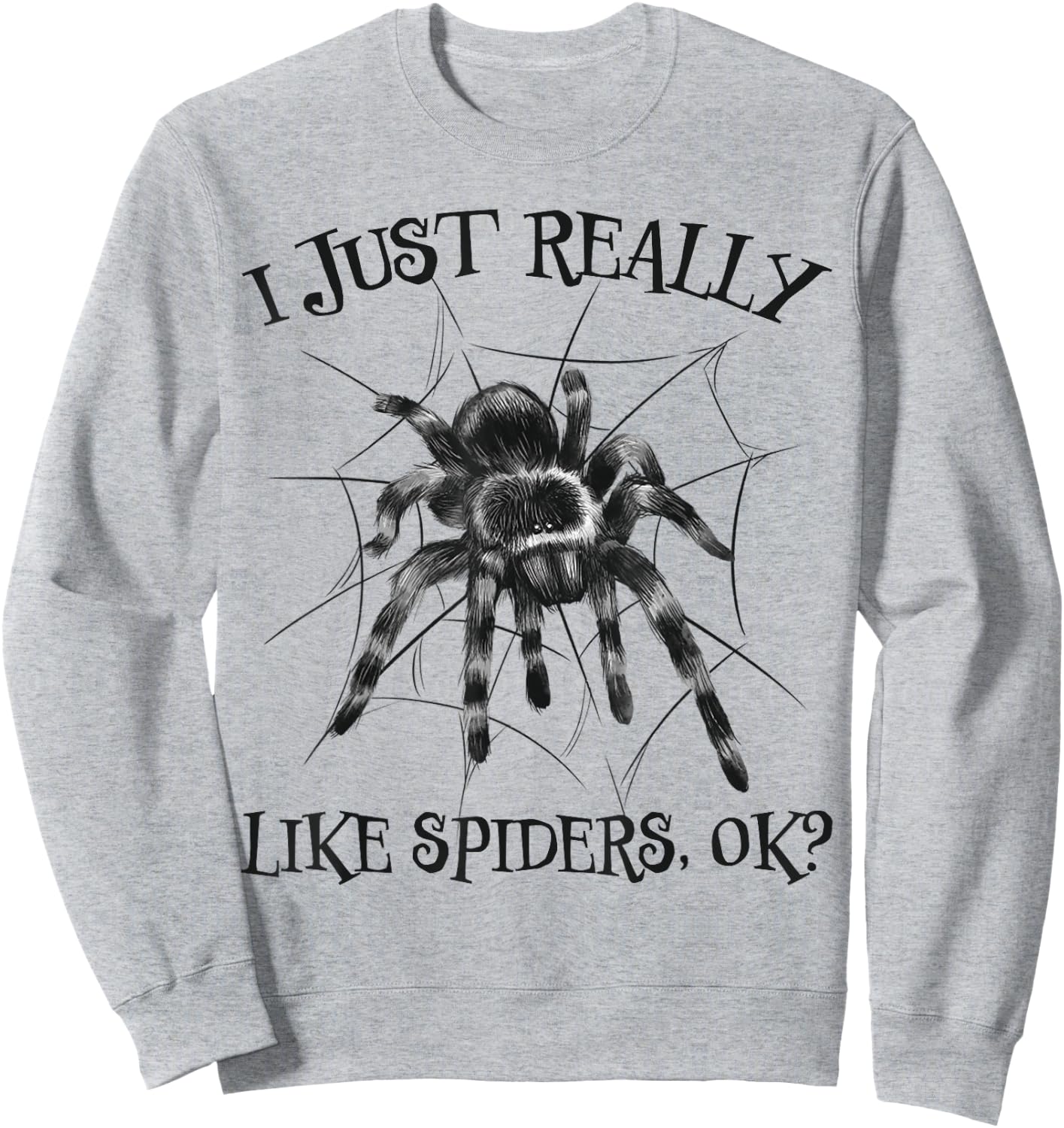 Spider Spider Saying Arachnid Spider Web Terrarium Spiders Sweatshirt - Sweatshirt | Ash