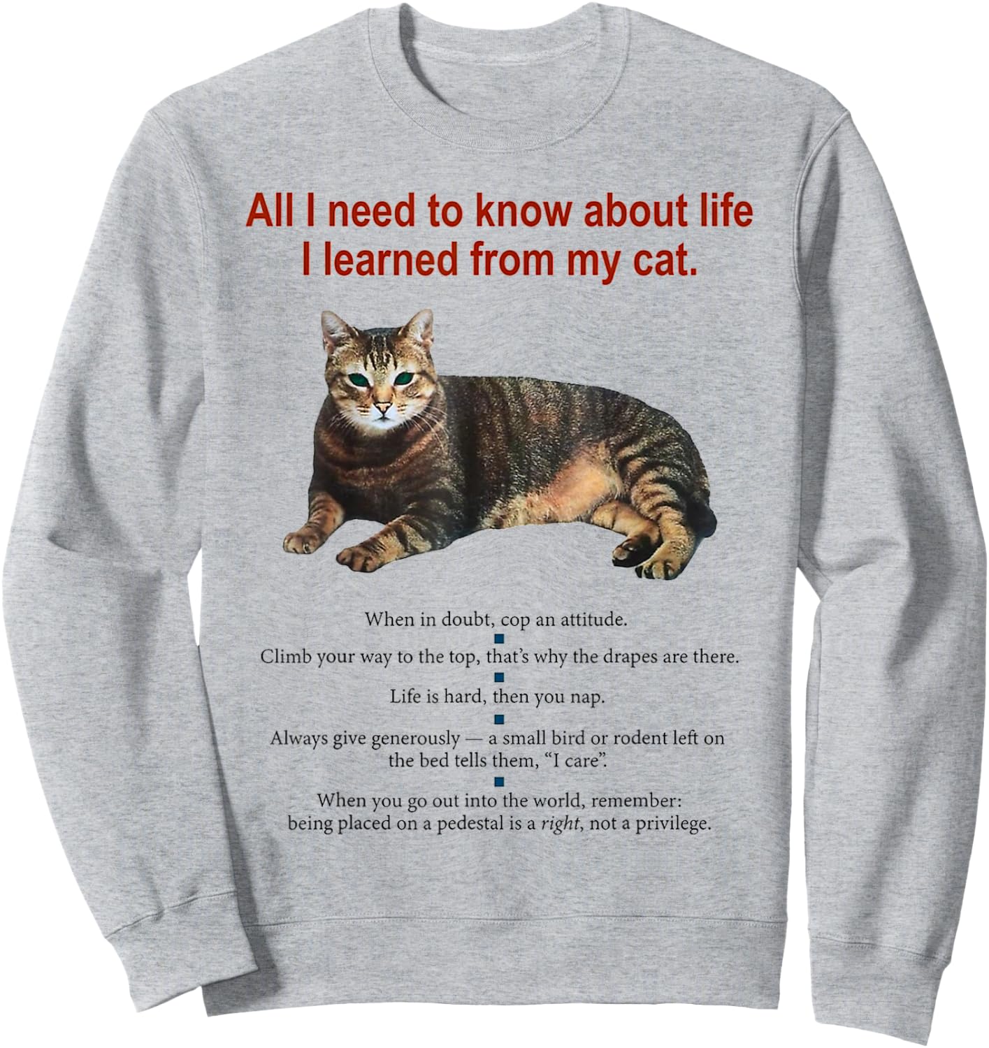 Everything I Need To Know About Life I Learned From My Cat Women Sweatshirt - Sweatshirt | Ash