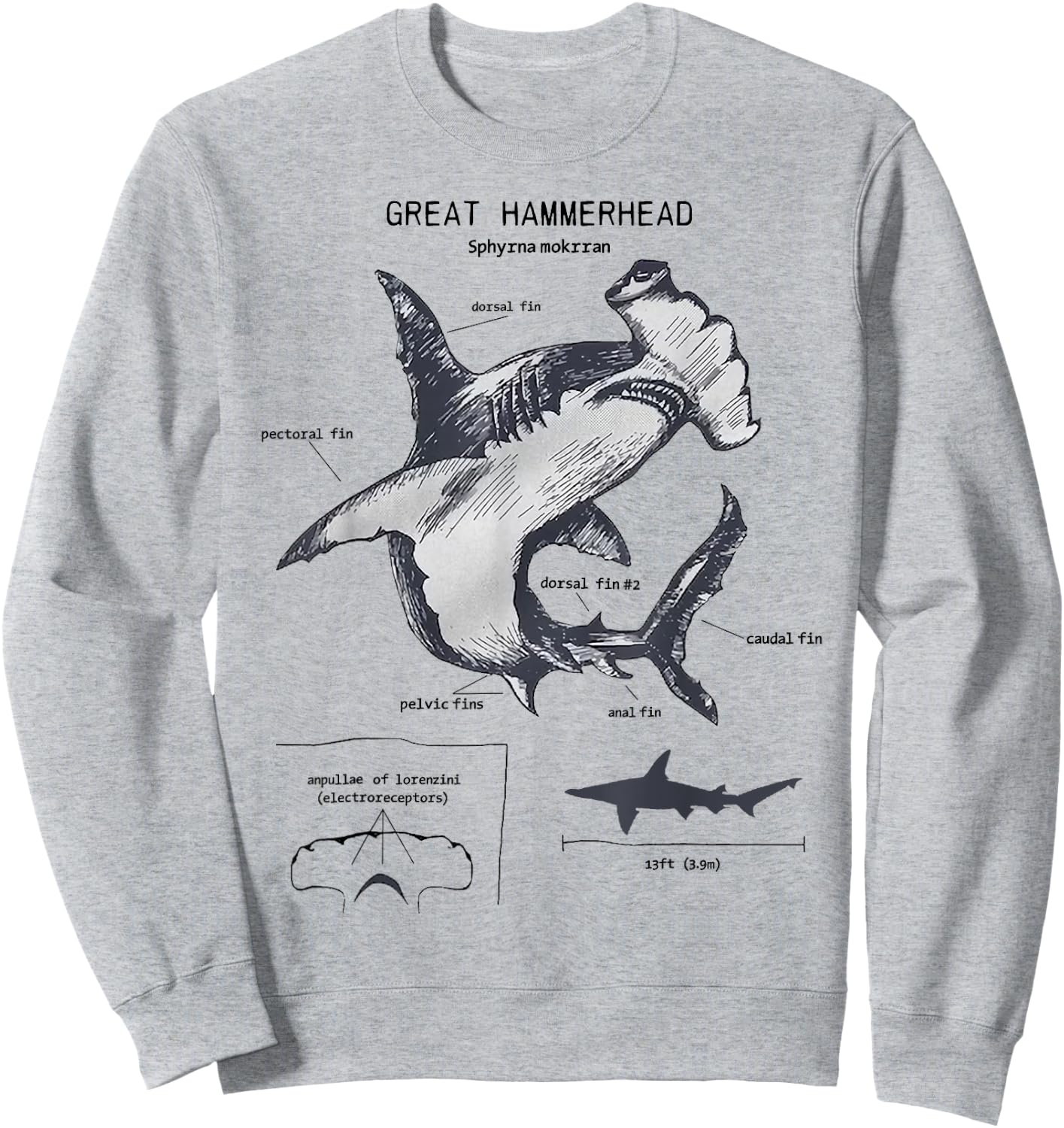 Great Hammerhead Anatomy Marine Biologist Sweatshirt - Sweatshirt | Ash