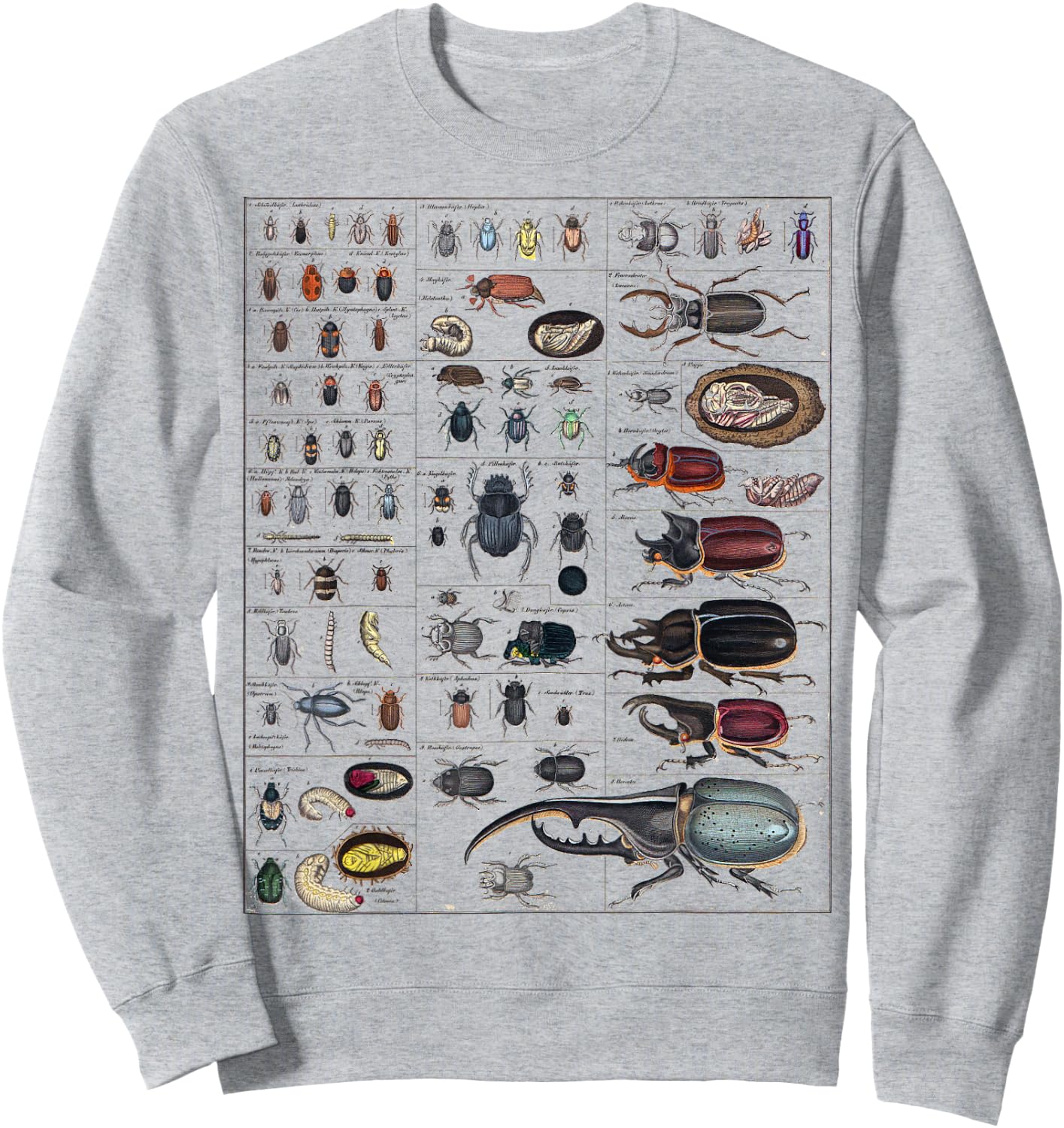 Insects Collection Species Bugs vintage Chart Entomology Sweatshirt - Sweatshirt | Ash