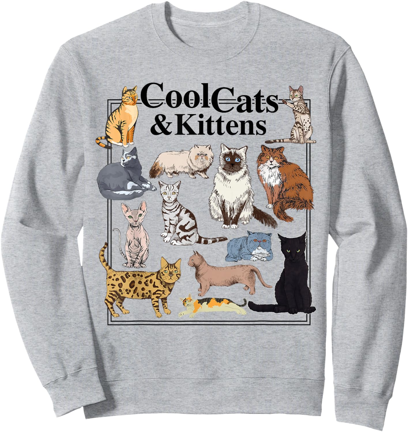 Cools Cat and Kitten Cat Types Funny Sweatshirt - Sweatshirt | Ash