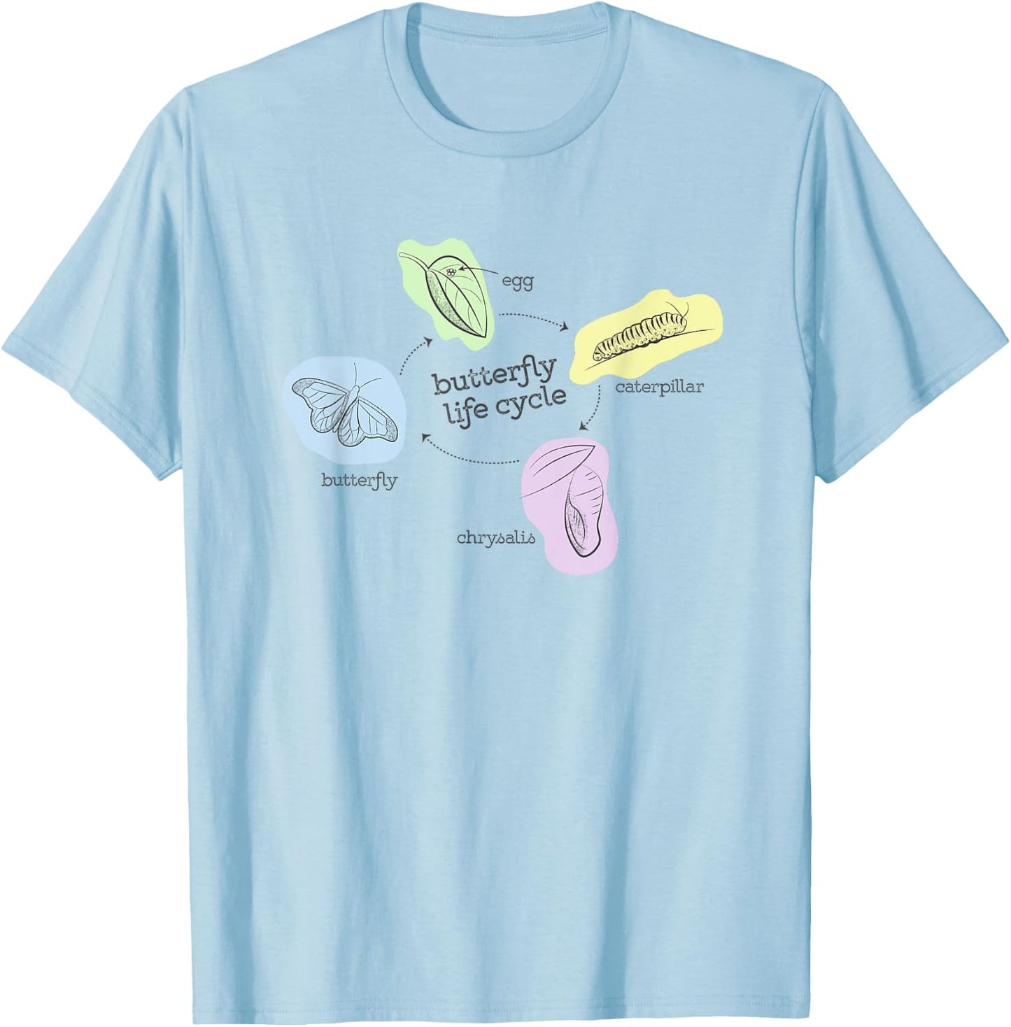 Butterfly Life Cycle T-Shirt - T-Shirt | Light Blue