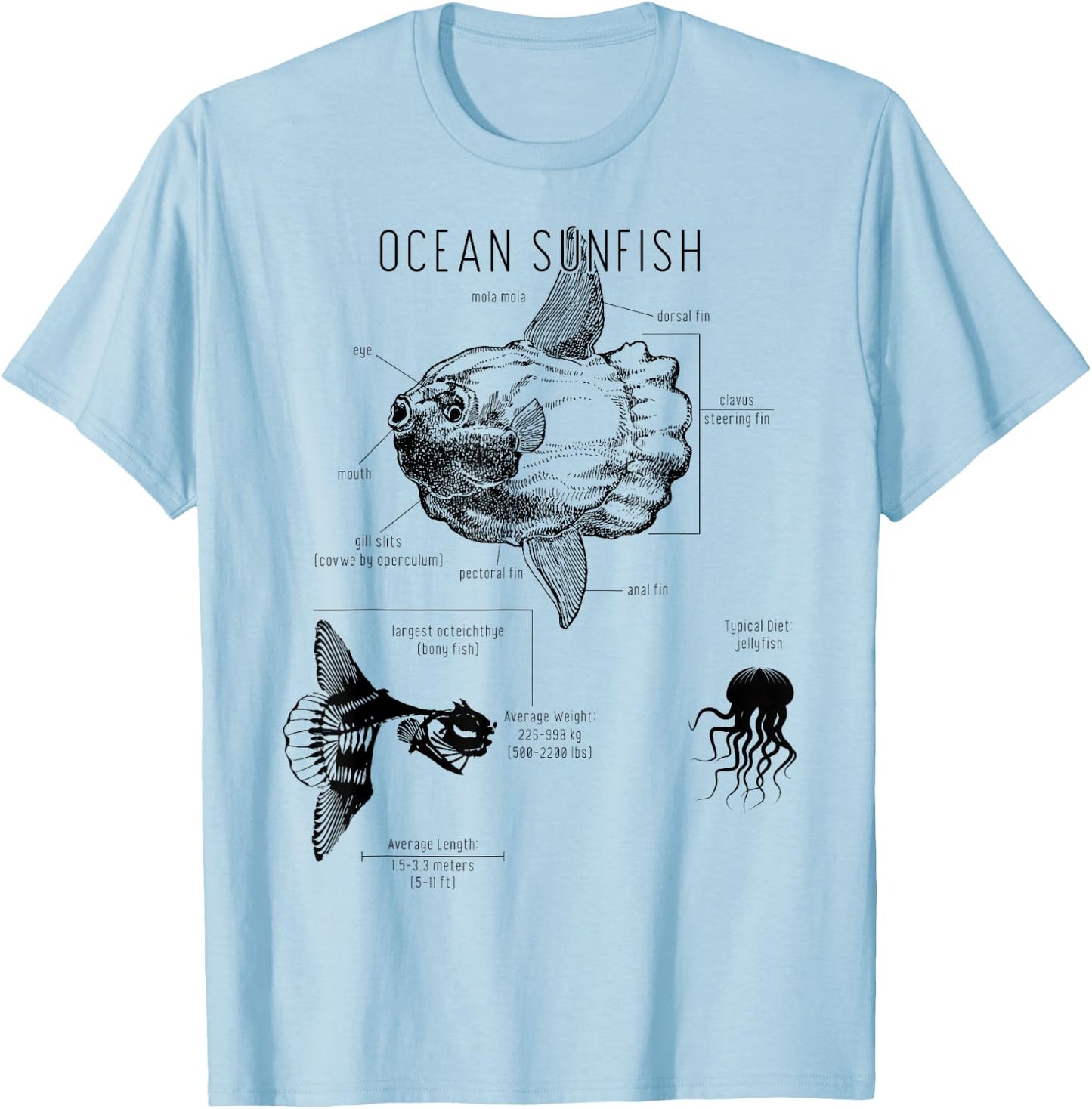 Ocean Sunfish Common Mola Anatomy Mola Mola T-Shirt - T-Shirt | Light Blue