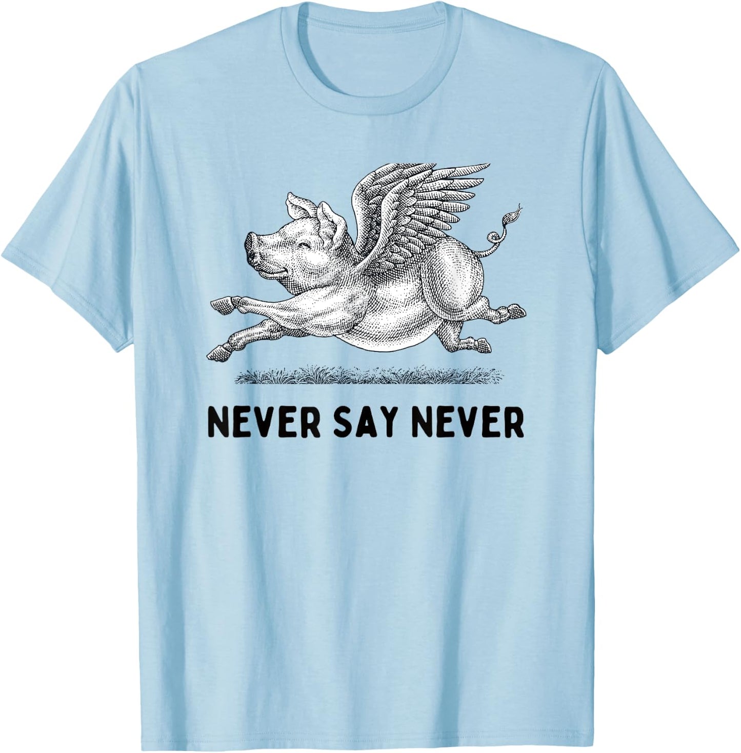 Never Say Never Inspiring Flying Pig Embrace Impossibity T-Shirt - T-Shirt | Light Blue