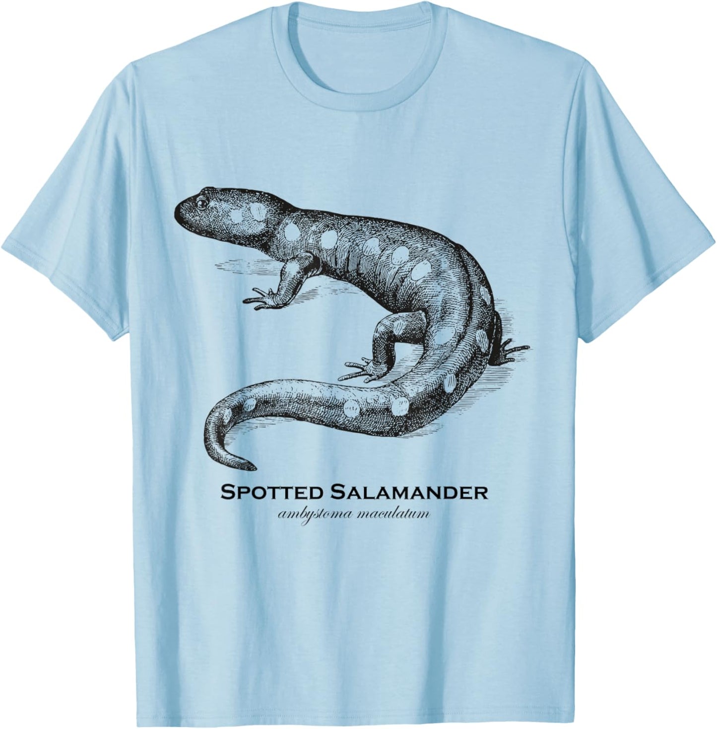 Vintage Animal Retro Wildlife Spotted Salamander T-Shirt - T-Shirt | Light Blue