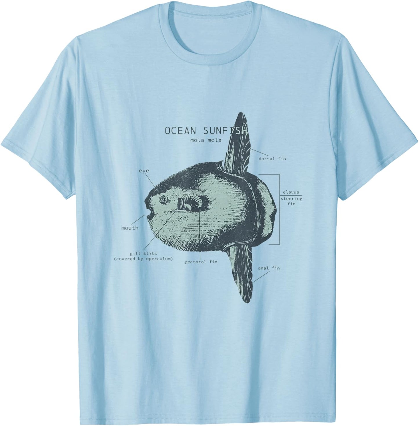 Ocean Sunfish Anatomy Marine Biologist T-Shirt - T-Shirt | Light Blue