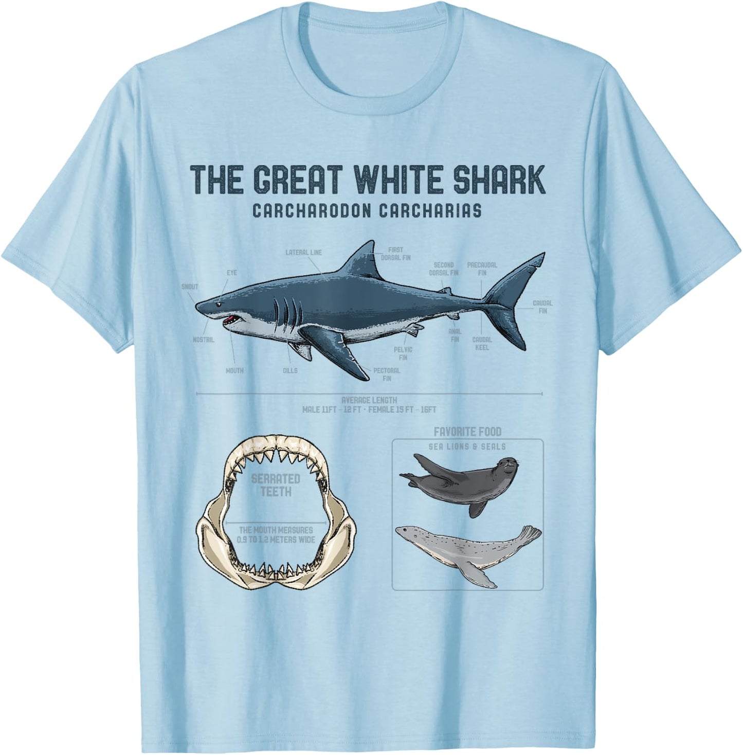 Great White Shark Anatomy Shirt - Shark Marine Biologist T-Shirt - T-Shirt | Light Blue
