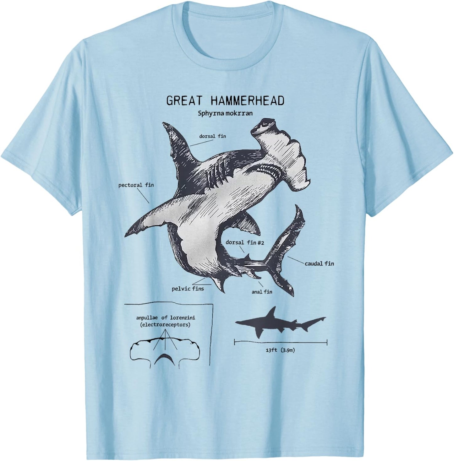 Great Hammerhead Anatomy Marine Biologist T-Shirt - T-Shirt | Light Blue