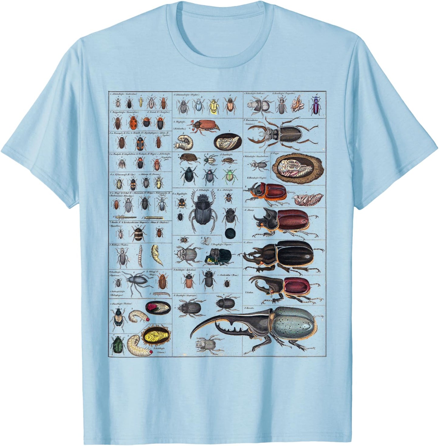 Insects Collection Species Bugs vintage Chart Entomology T-Shirt - T-Shirt | Light Blue