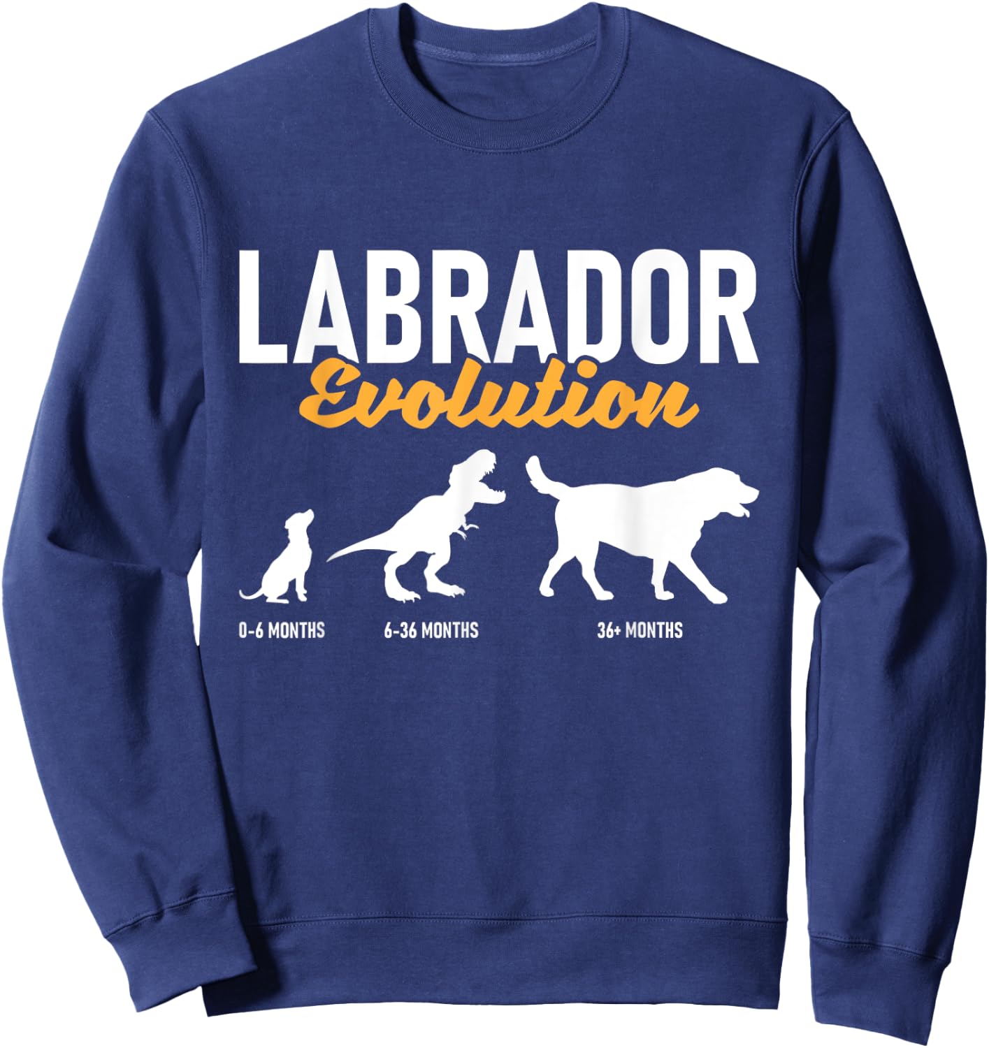 Labrador Evolution - Pet Owner Animal Dog Lover Sweatshirt - Sweatshirt | Navy