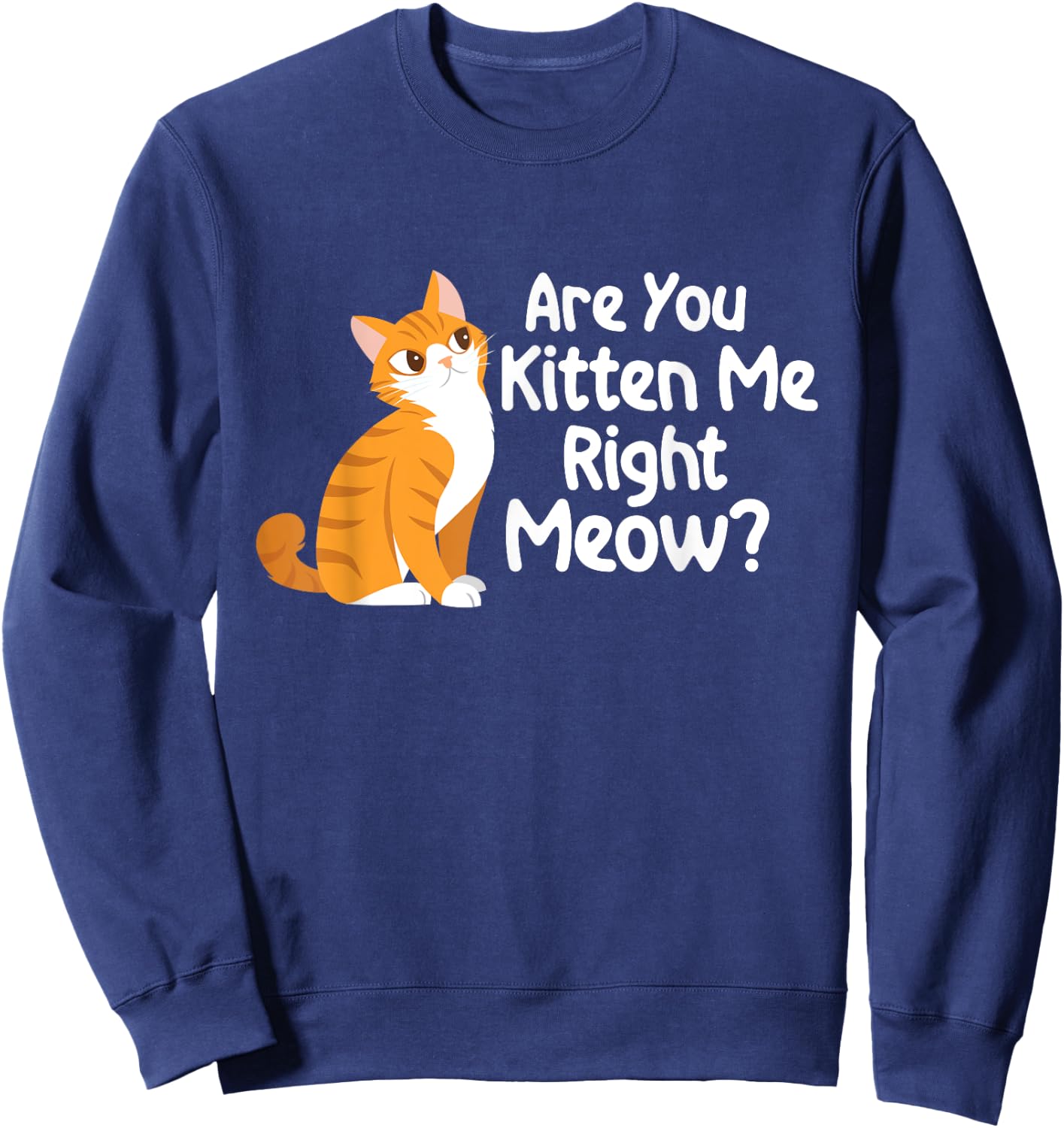Are You Kitten Me Right Meow - Cat Lover Kitty Owner Sweatshirt - Sweatshirt | Navy