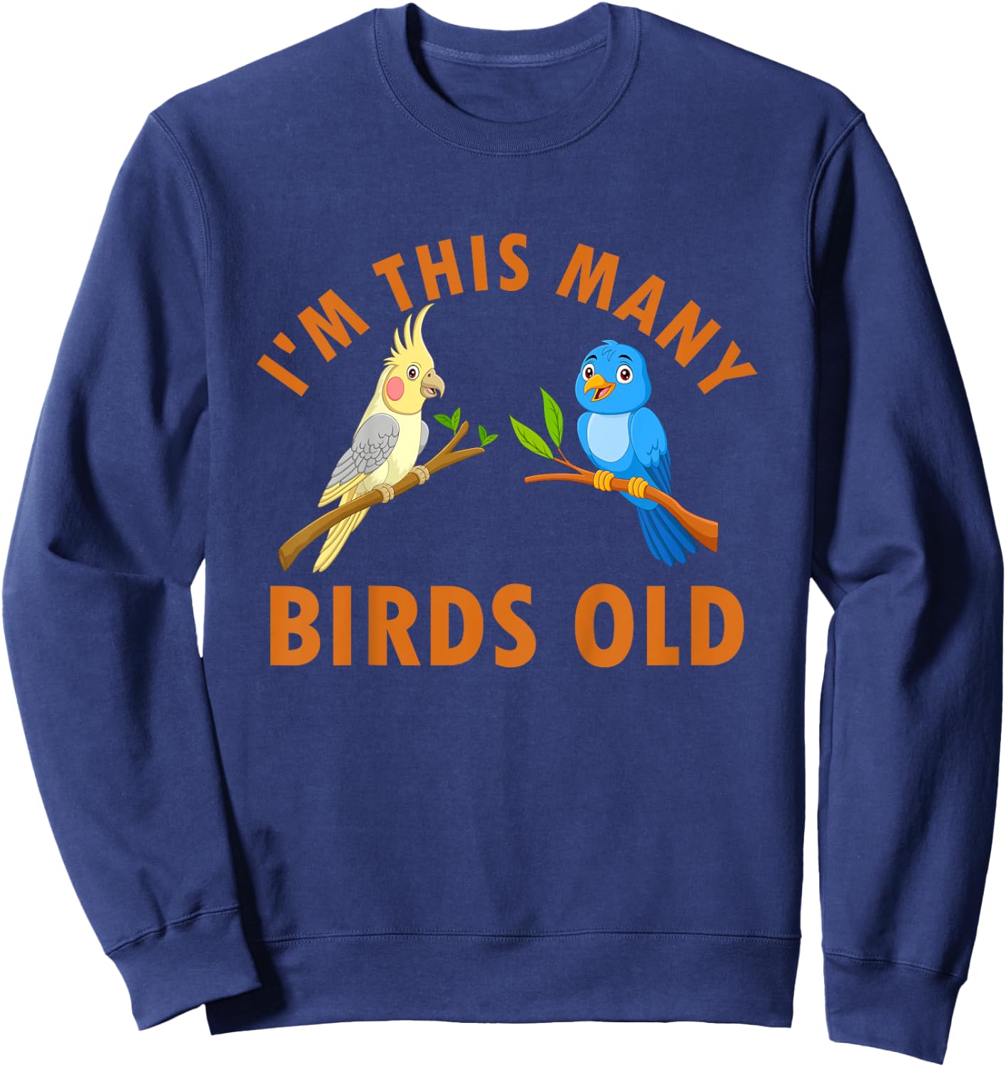 2 Year Old Birds Old 2nd Birthday Kids Sweatshirt - Sweatshirt | Navy