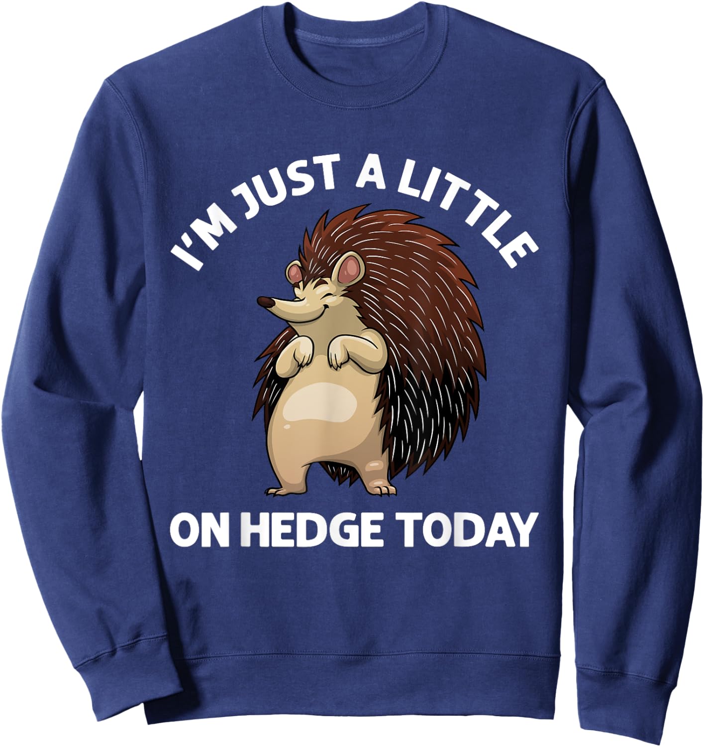 Funny Hedgehog Design Women Hedgehog Lover Porcupine Sweatshirt - Sweatshirt | Navy