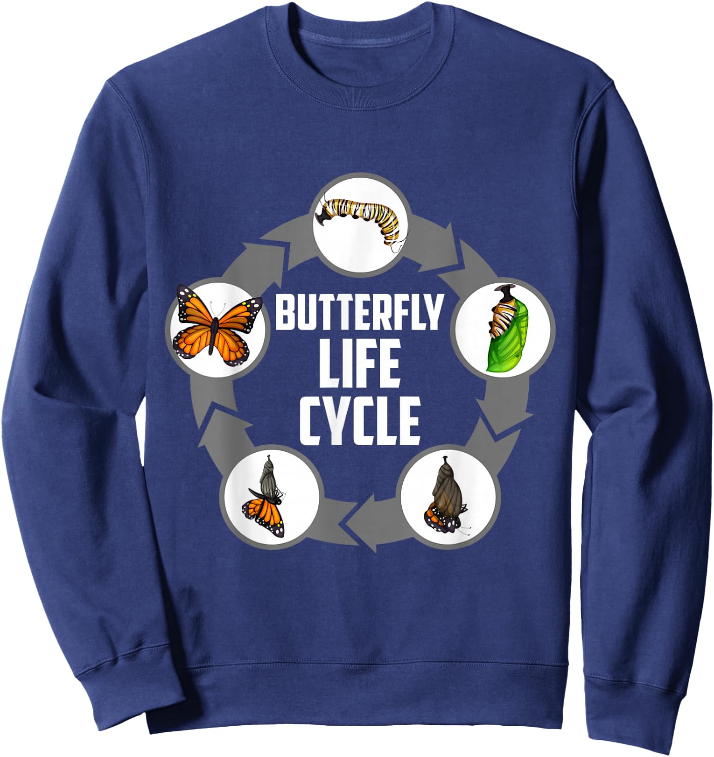 Butterfly Life Cycle Caterpillar Science Biology Sweatshirt - Sweatshirt | Navy