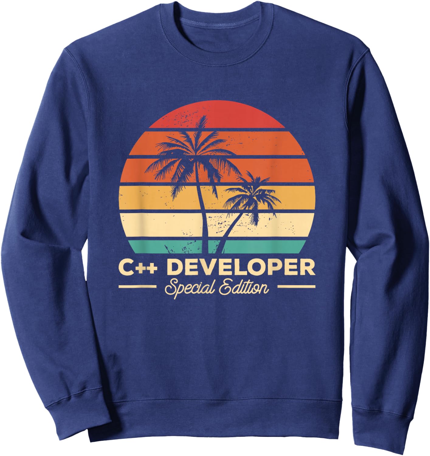 Vintage C++ Developer Programming Sweatshirt - Sweatshirt | Navy