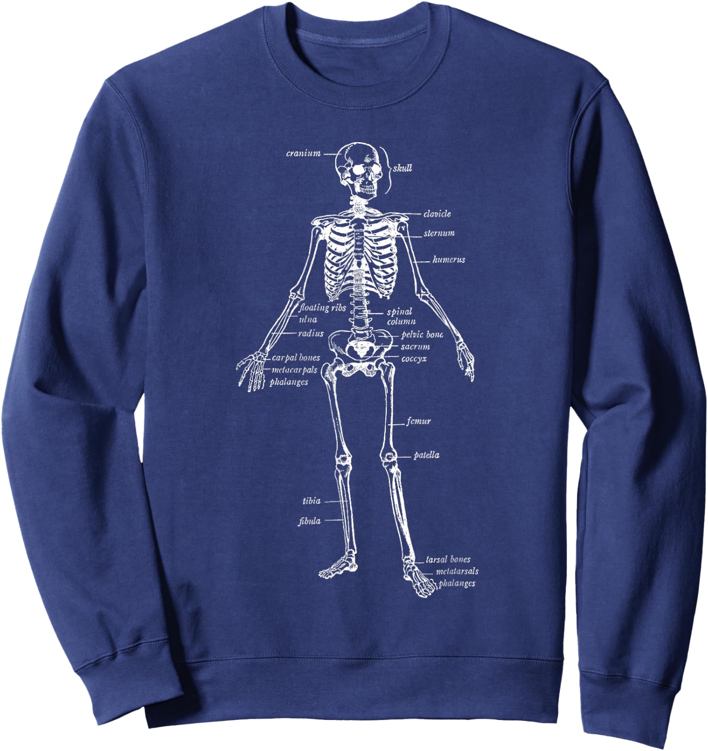 Skeleton Skeletal System Anatomy Names of Bones Sweatshirt - Sweatshirt | Navy