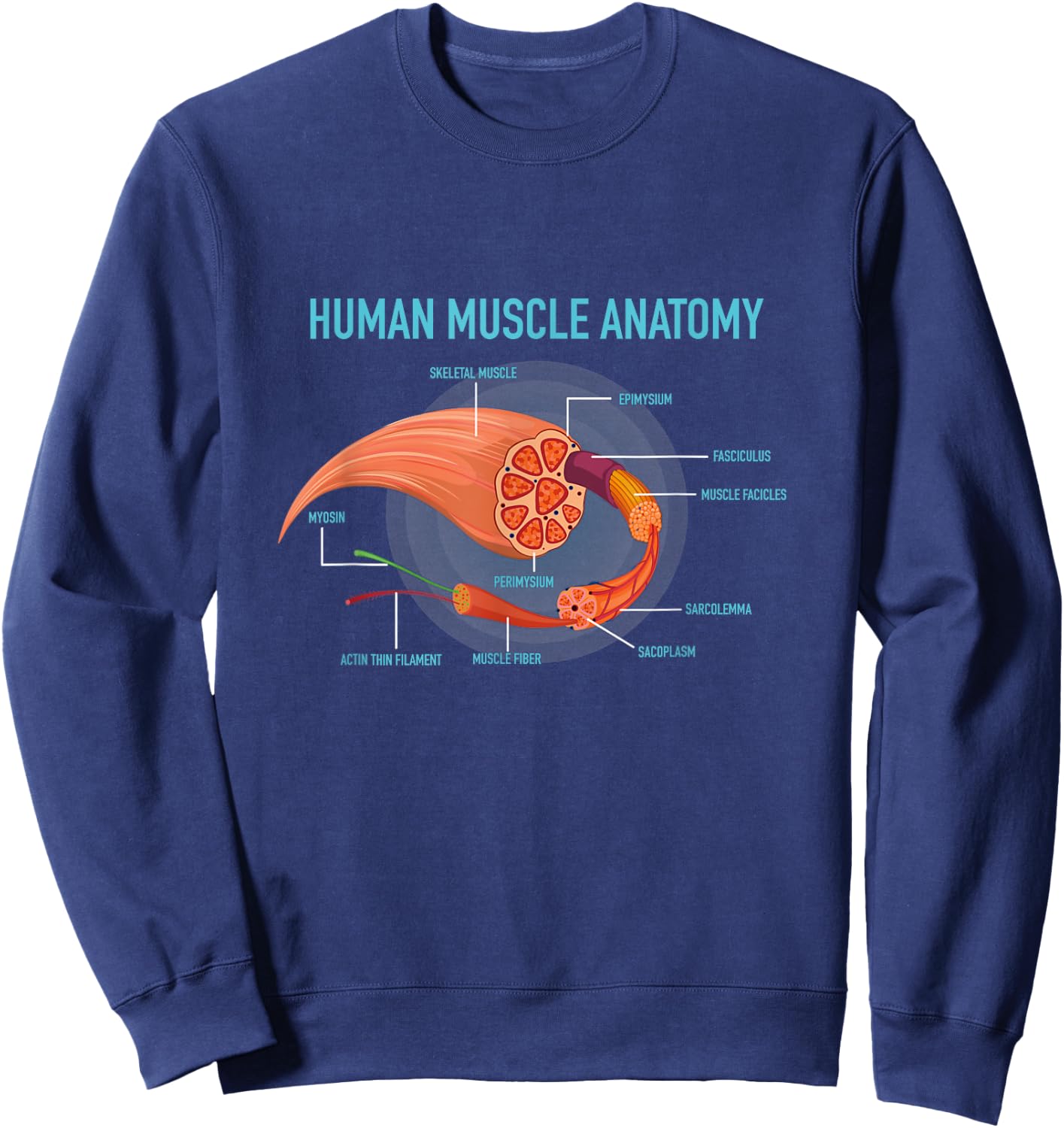 Anatomy of Human Muscle for Medic Sweatshirt - Sweatshirt | Navy