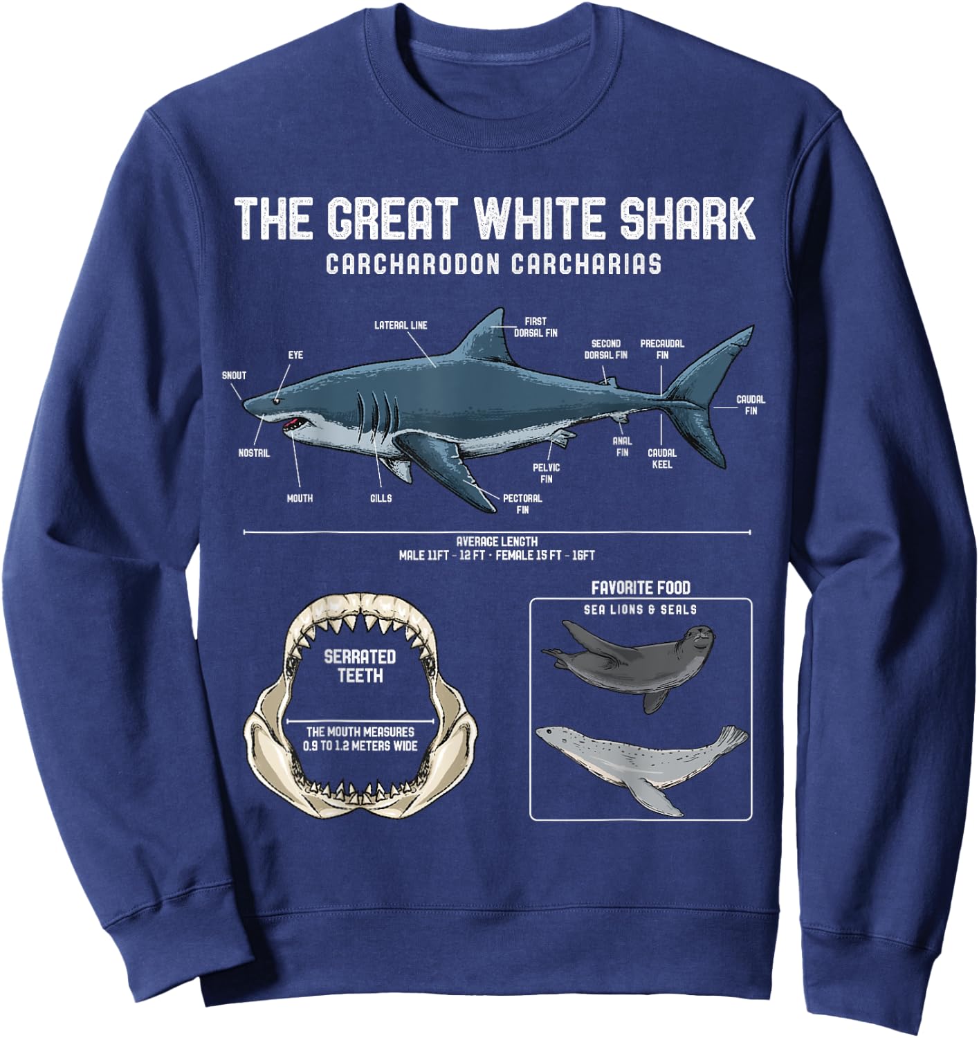 Great White Shark Anatomy Shirt - Shark Marine Biologist Sweatshirt - Sweatshirt | Navy