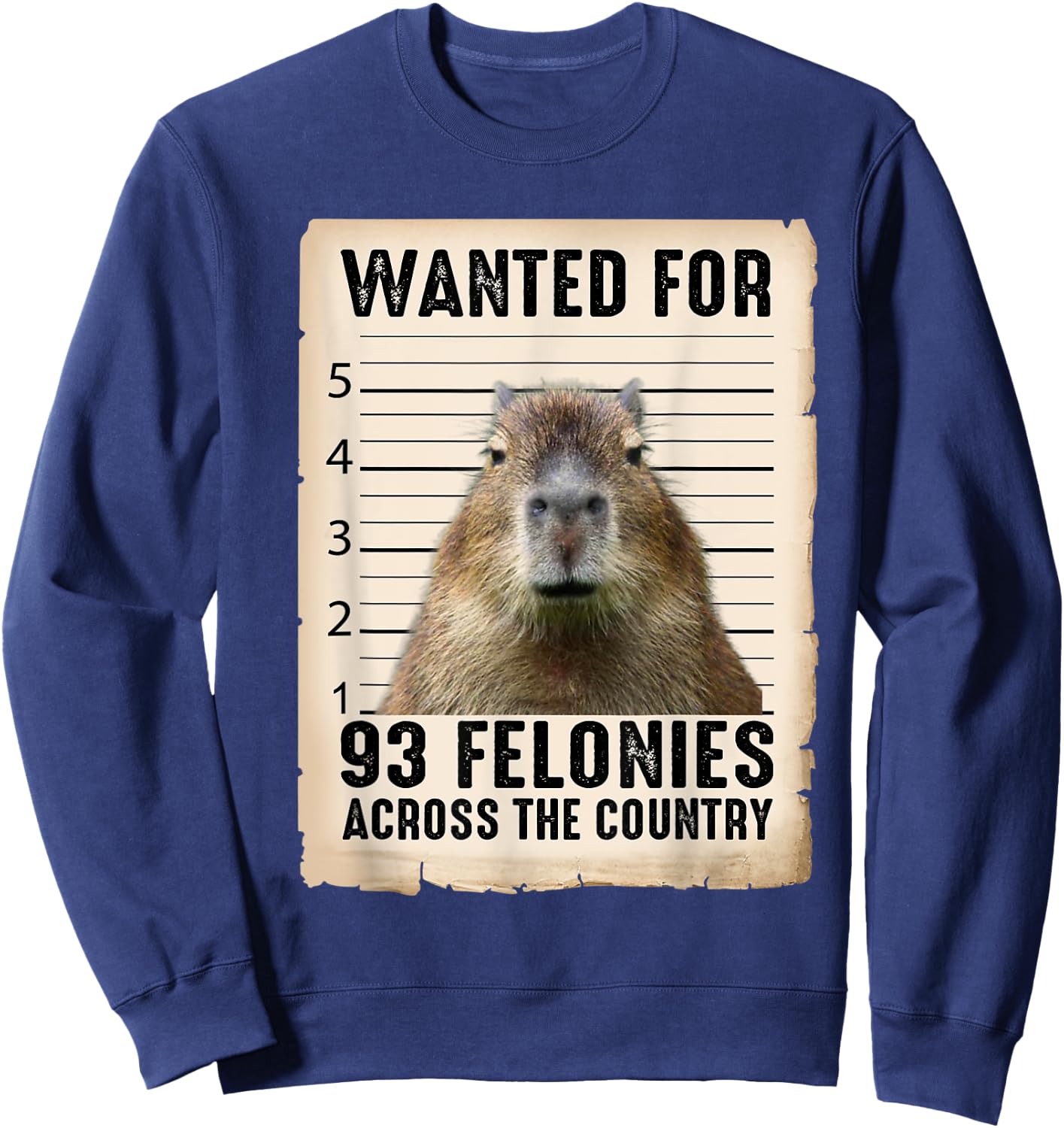 Capybara Gifts Wanted For 93 Felonies Across The Country Sweatshirt - Sweatshirt | Navy
