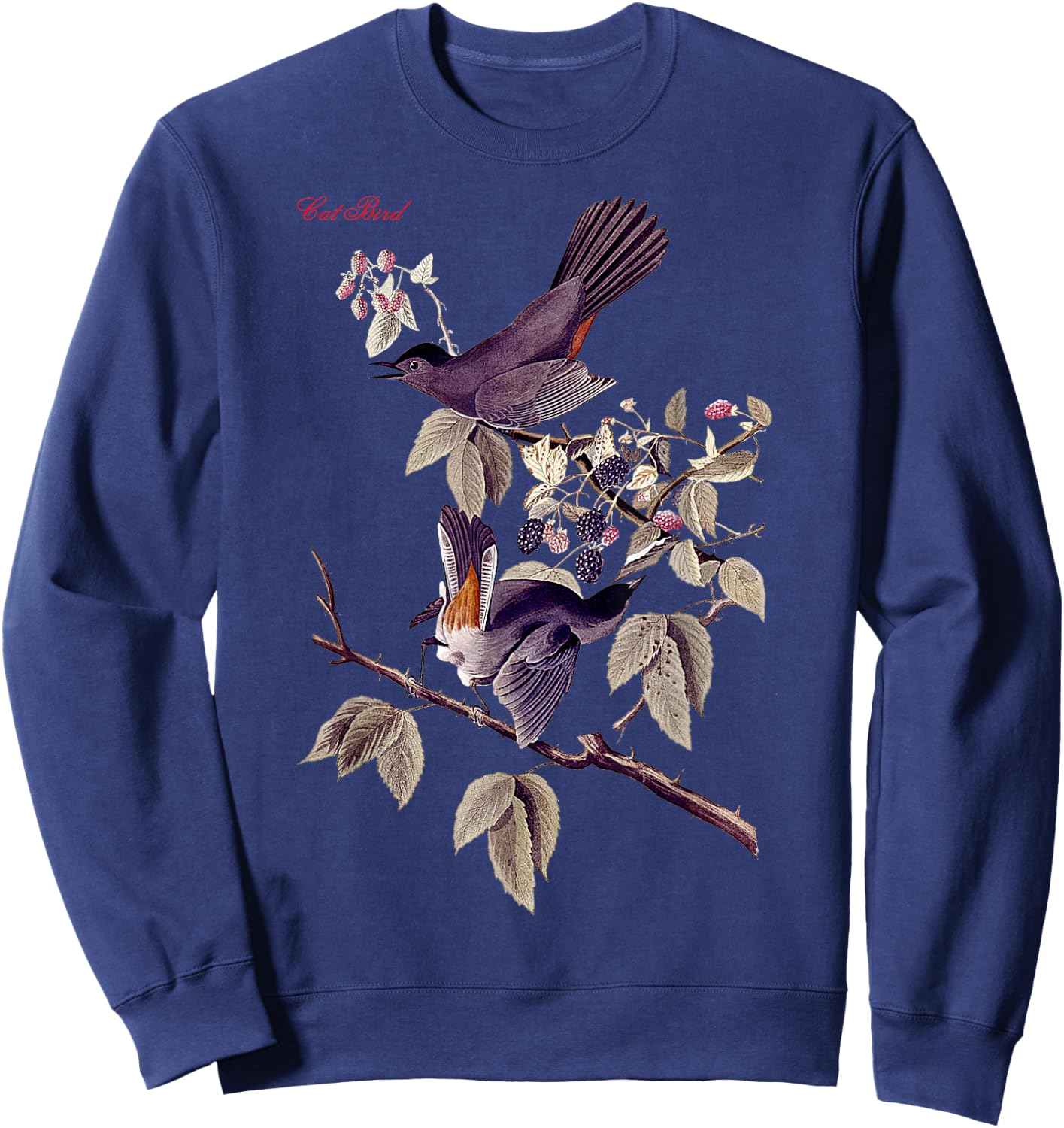 Audubon Cat Bird North American Birds Education Nature Sweatshirt - Sweatshirt | Navy
