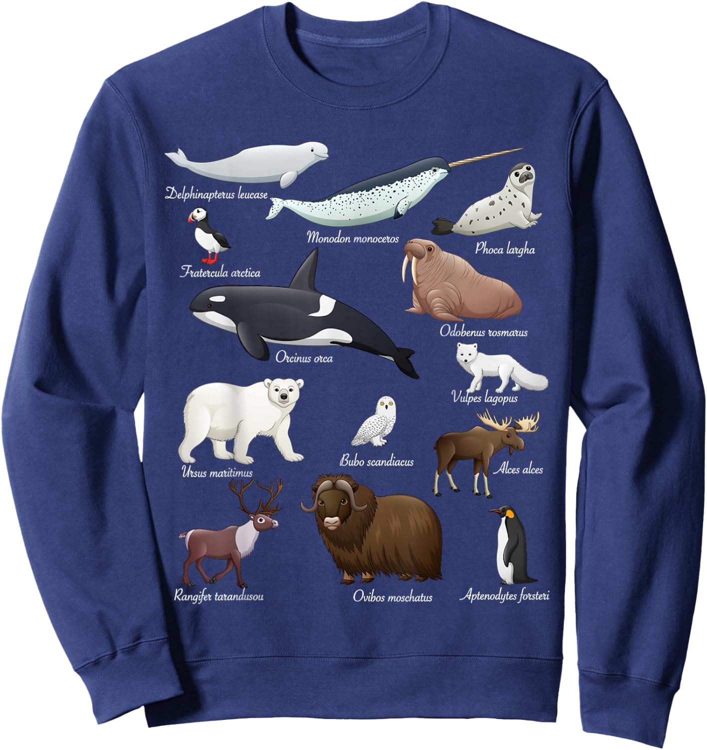 Arctic Wildlife Animals Scientific Names For Education Sweatshirt - Sweatshirt | Navy