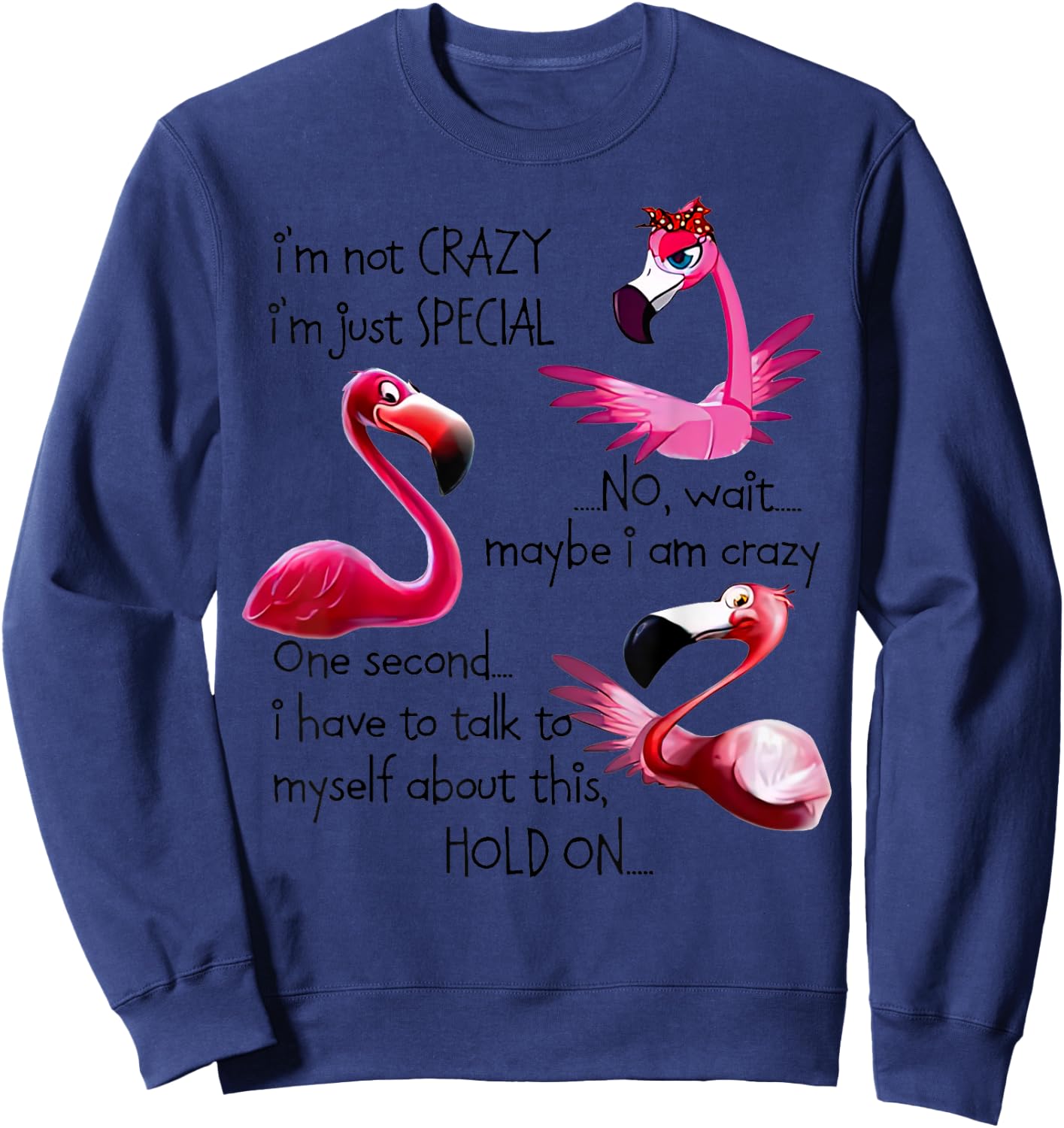 Flamingo I’m Not Crazy I’m Just Special No Wait Maybe Sweatshirt - Sweatshirt | Navy