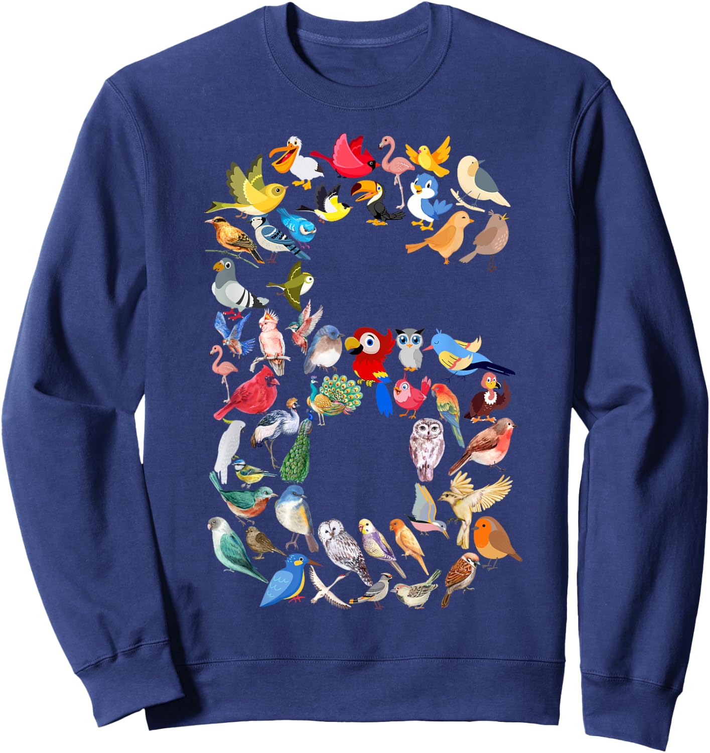 Kids 6th Birthday Birds Themed 6 Year Old Boys Bird Lover Sweatshirt - Sweatshirt | Navy