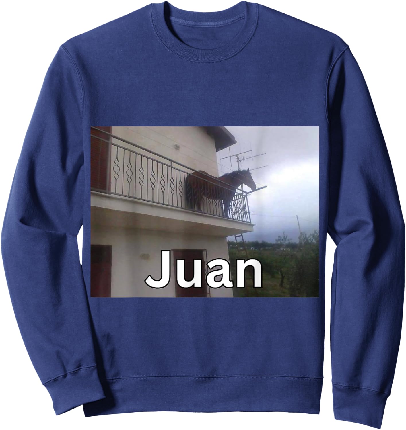 Funny Juan Horse on Balcony Meme Sweatshirt - Sweatshirt | Navy
