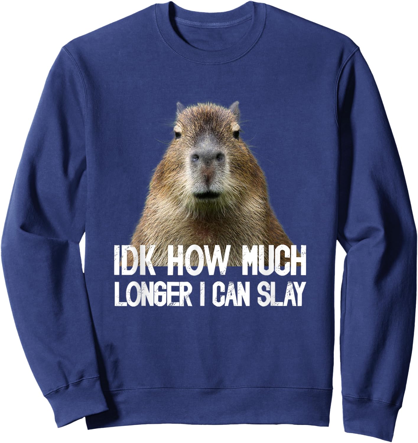 Idk How Much Longer I Can Slay Capybara Sarcastic Dank Meme Sweatshirt - Sweatshirt | Navy