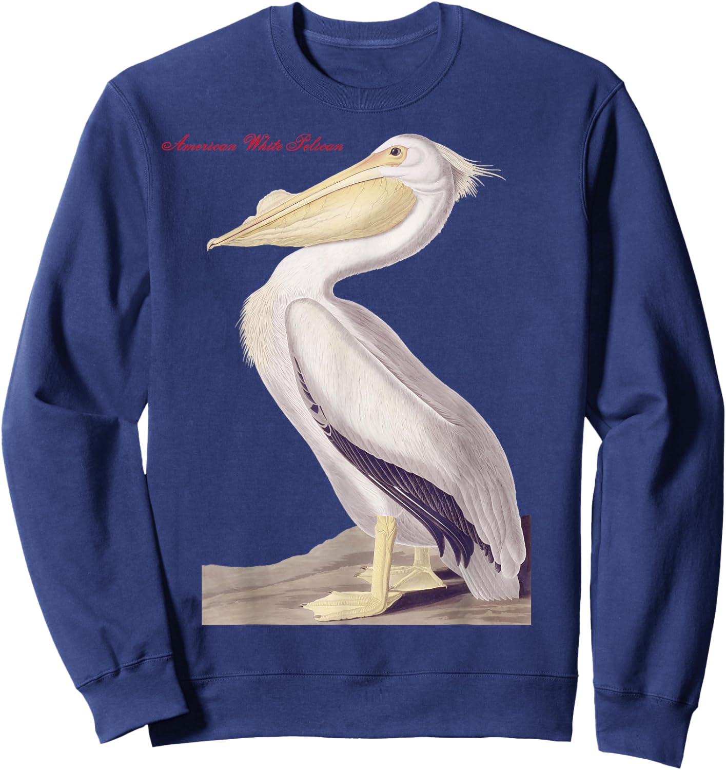 Audubon American White Pelican Birds Education Nature Sweatshirt - Sweatshirt | Navy