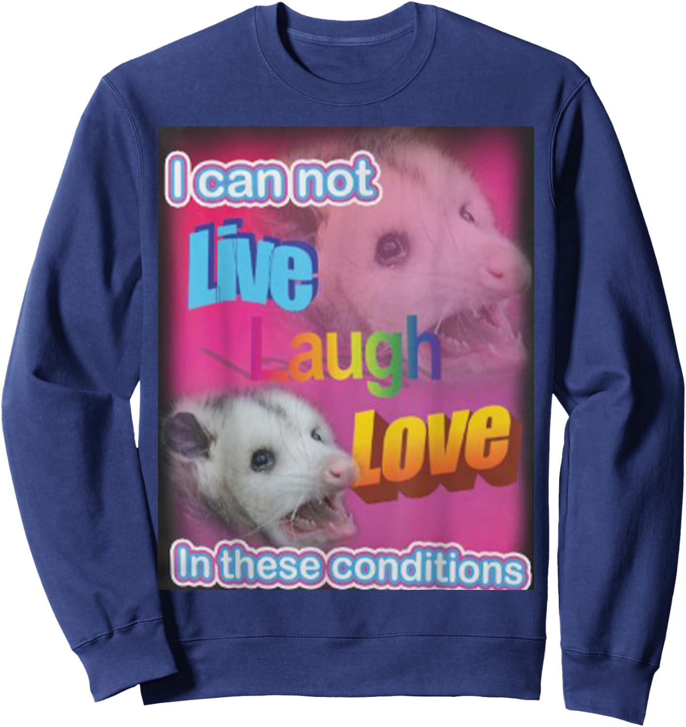 I can not live laugh love in these conditions Raccoon Sweatshirt - Sweatshirt | Navy