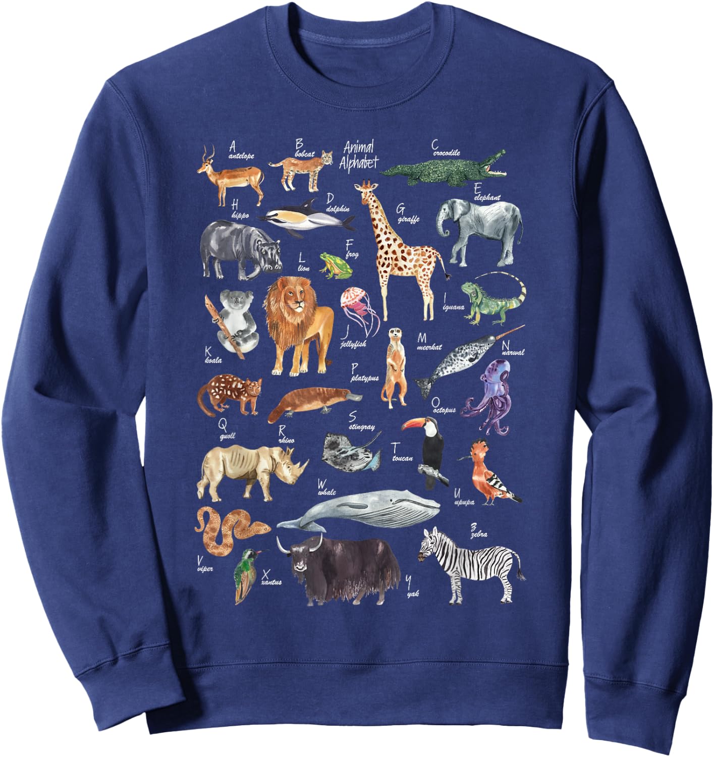 animal alphabet ABCs Learning Sweatshirt - Sweatshirt | Navy