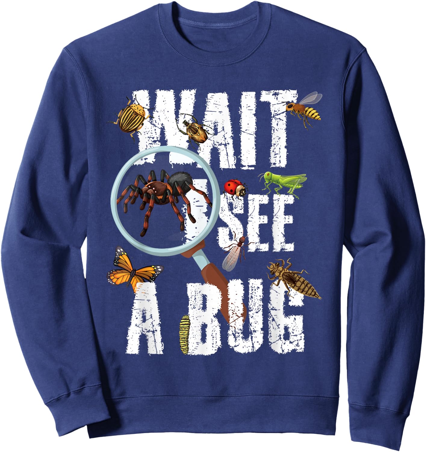 Insects of The World Bug Lover Expert Entomologist Bugs Fan Sweatshirt - Sweatshirt | Navy