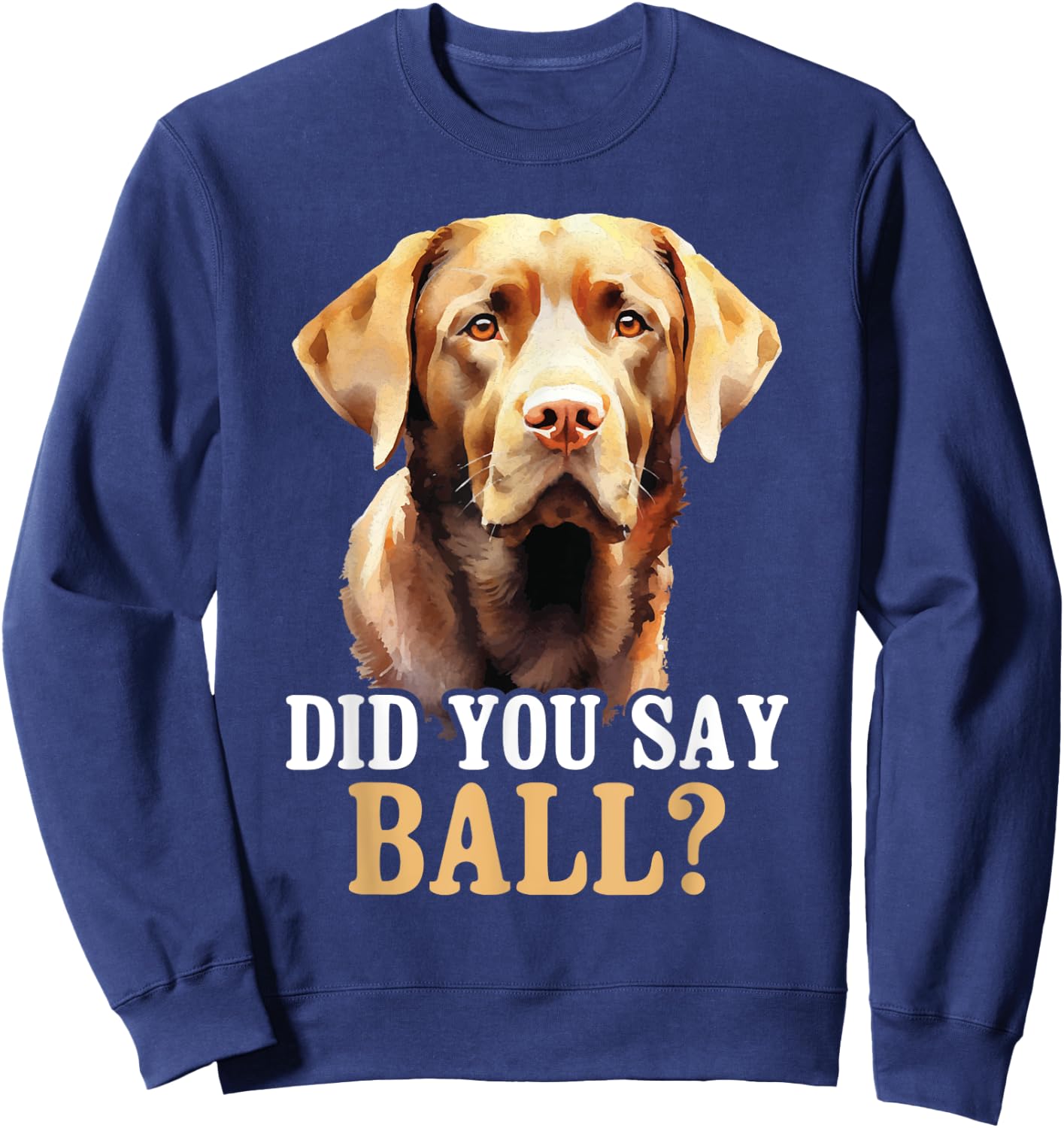 Did You Say Ball - Black Labrador Dog Breeder Animal Lover Men Women Girls Kids Sweatshirt - Sweatshirt | Navy