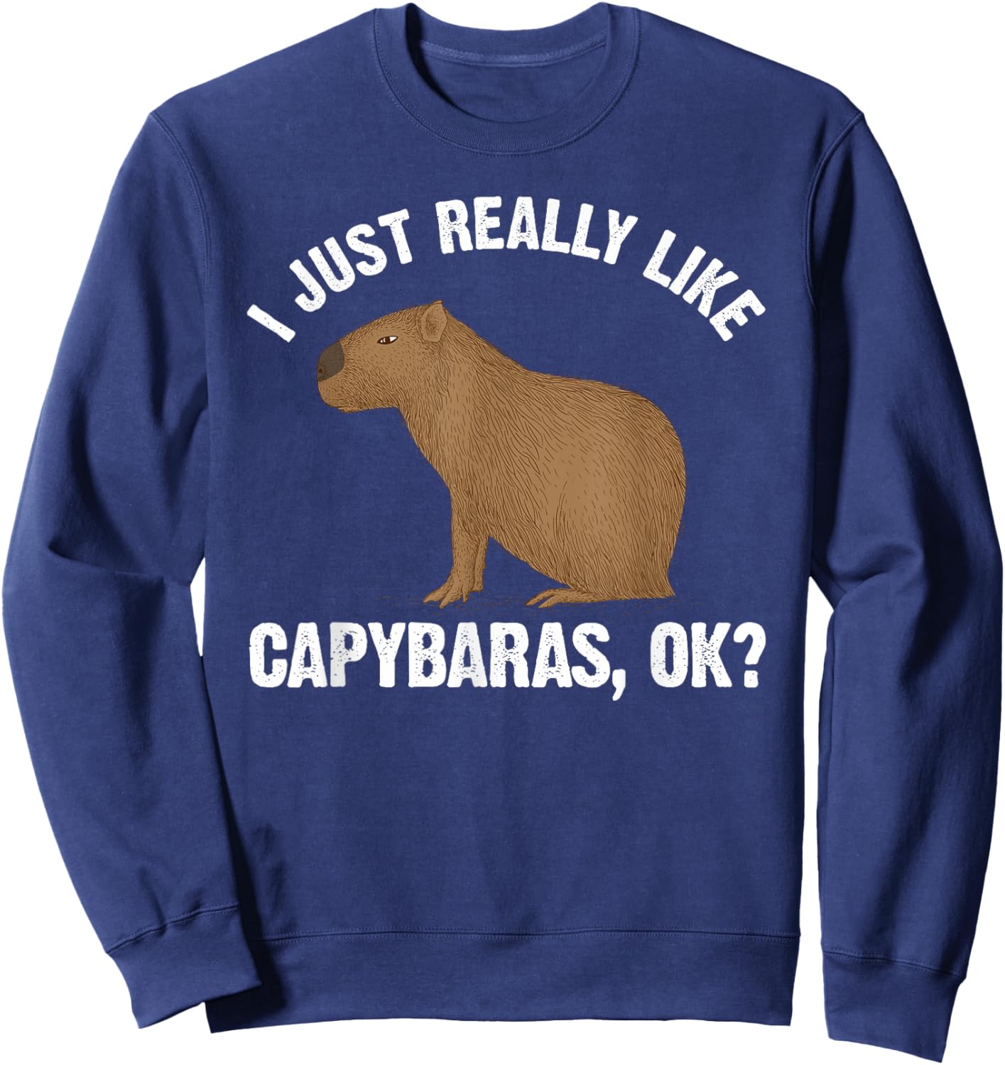 Funny Capybara Art Women Kids Rodent Capybara Lover Sweatshirt - Sweatshirt | Navy
