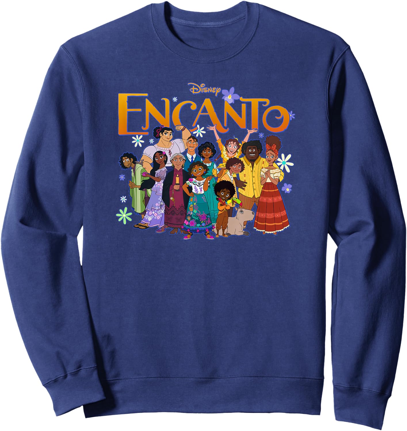 Disney Encanto Family Group Portrait Logo Sweatshirt - Sweatshirt | Navy