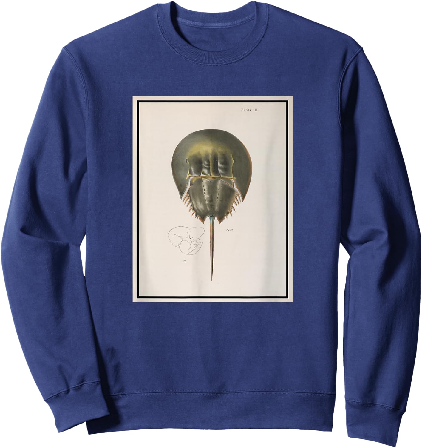 Vintage Horseshoe Crab Illustration (1844) Sweatshirt - Sweatshirt | Navy