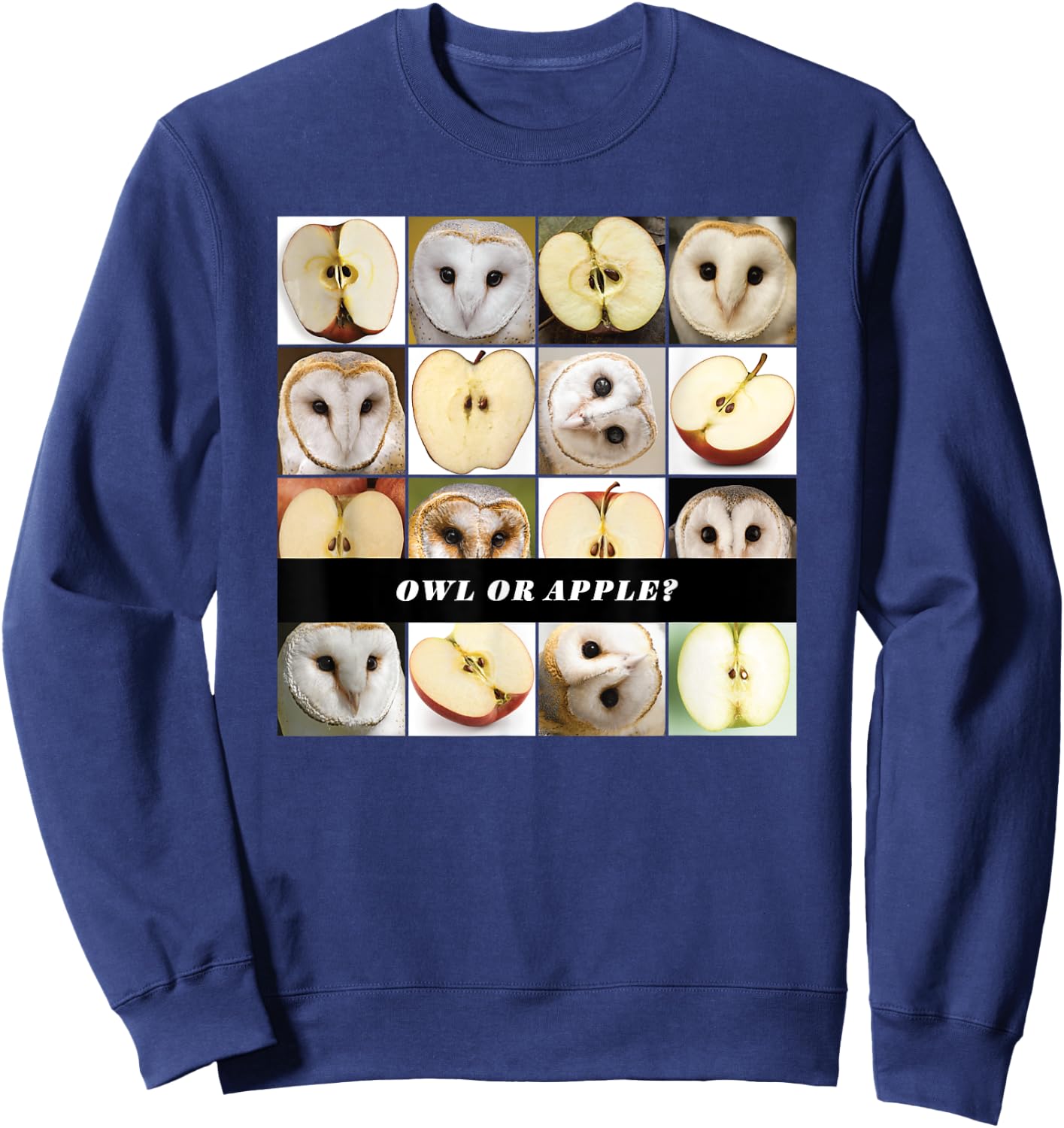 Barn Owl or Apple? AI Machine Learning Food or Object Meme Sweatshirt - Sweatshirt | Navy