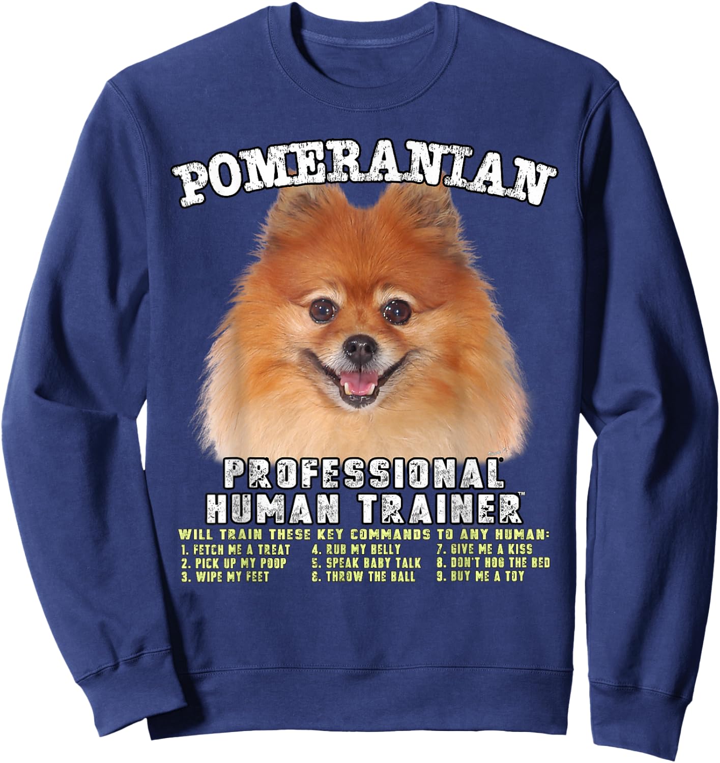 Kitana Pomeranian Dog Themed , -Adults, Kids, Black, Small, Short Sleeve Sweatshirt - Sweatshirt | Navy